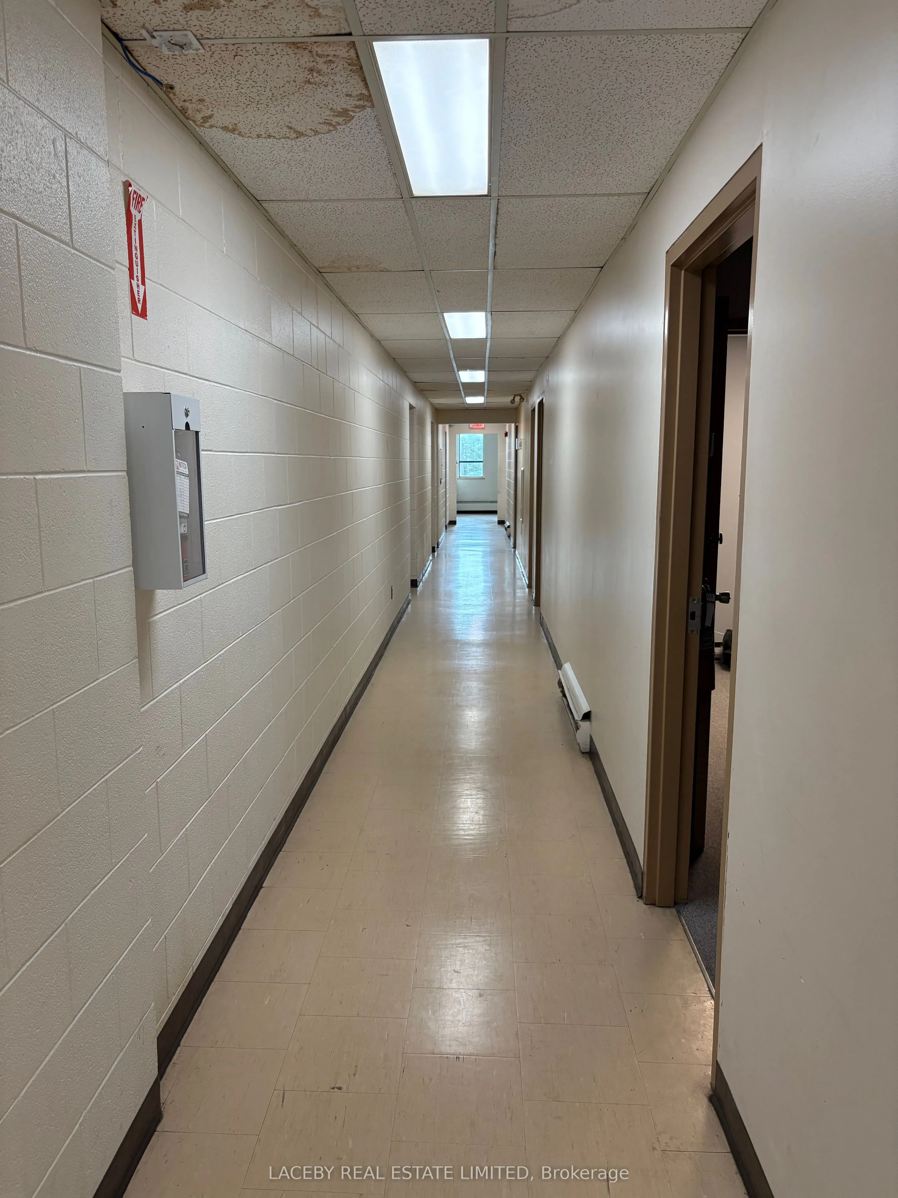 28 Rebecca Street, #3