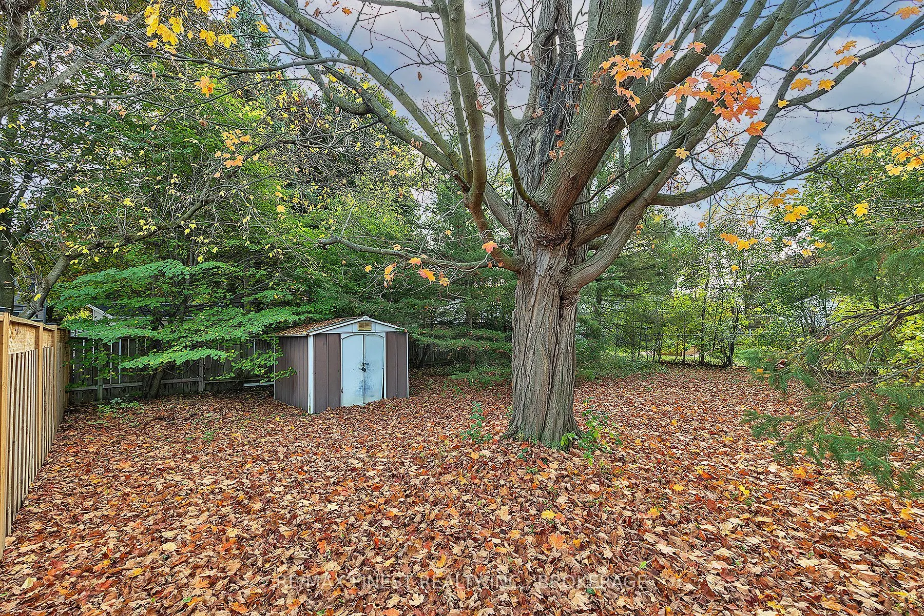 77 Westmoreland Road