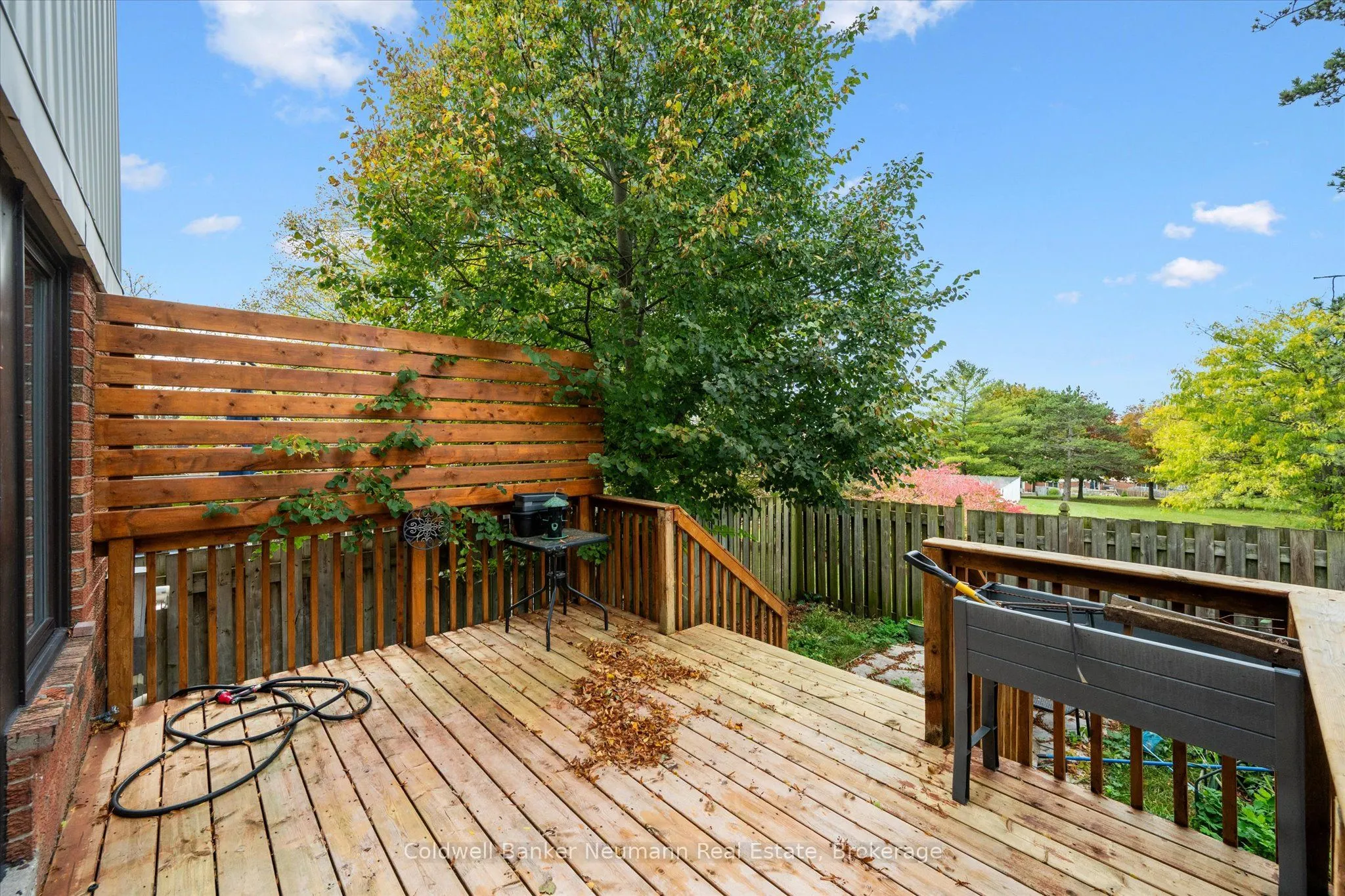 51 Dovercliffe Road, #56