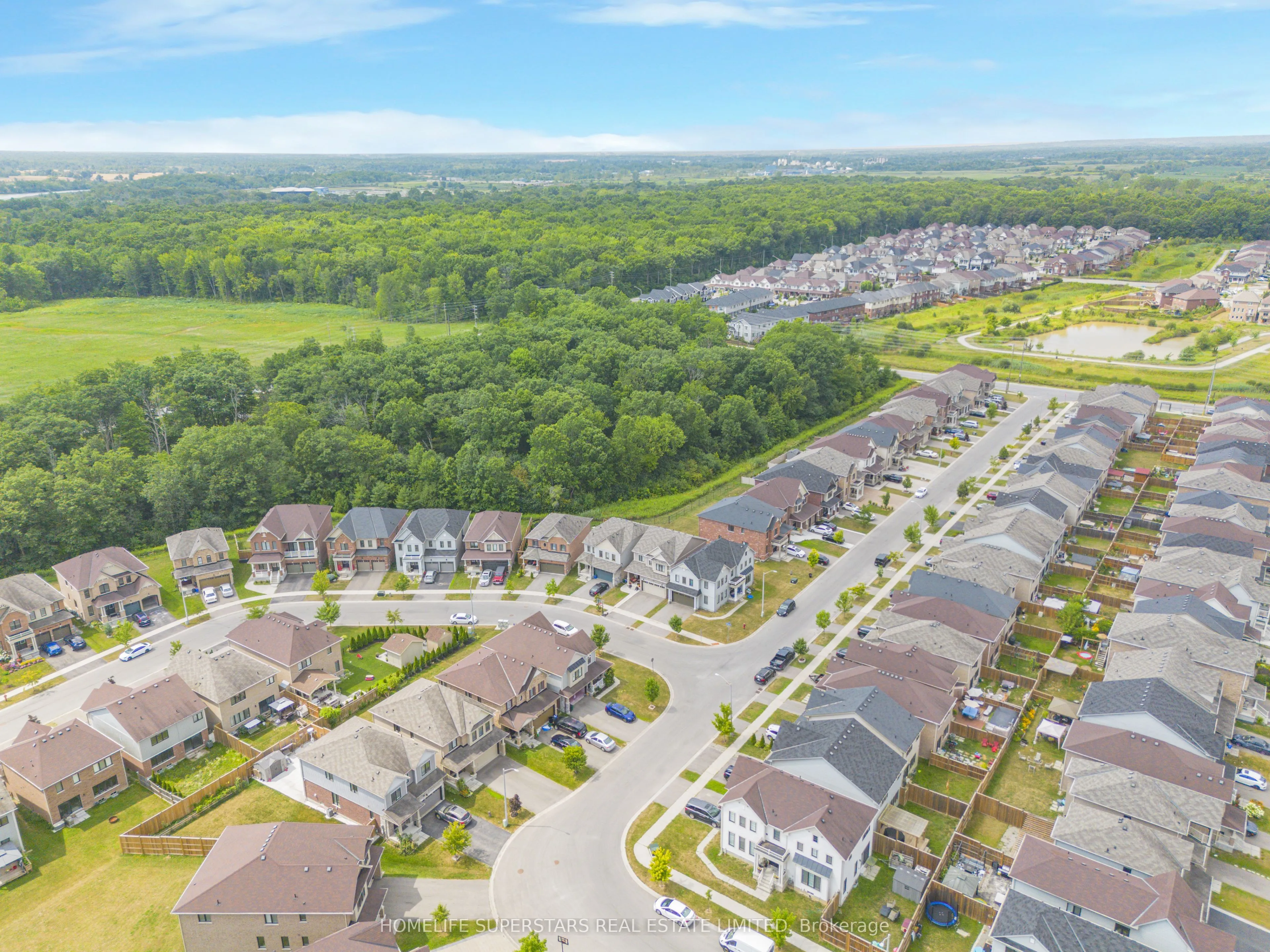 8066 Hackberry Trail