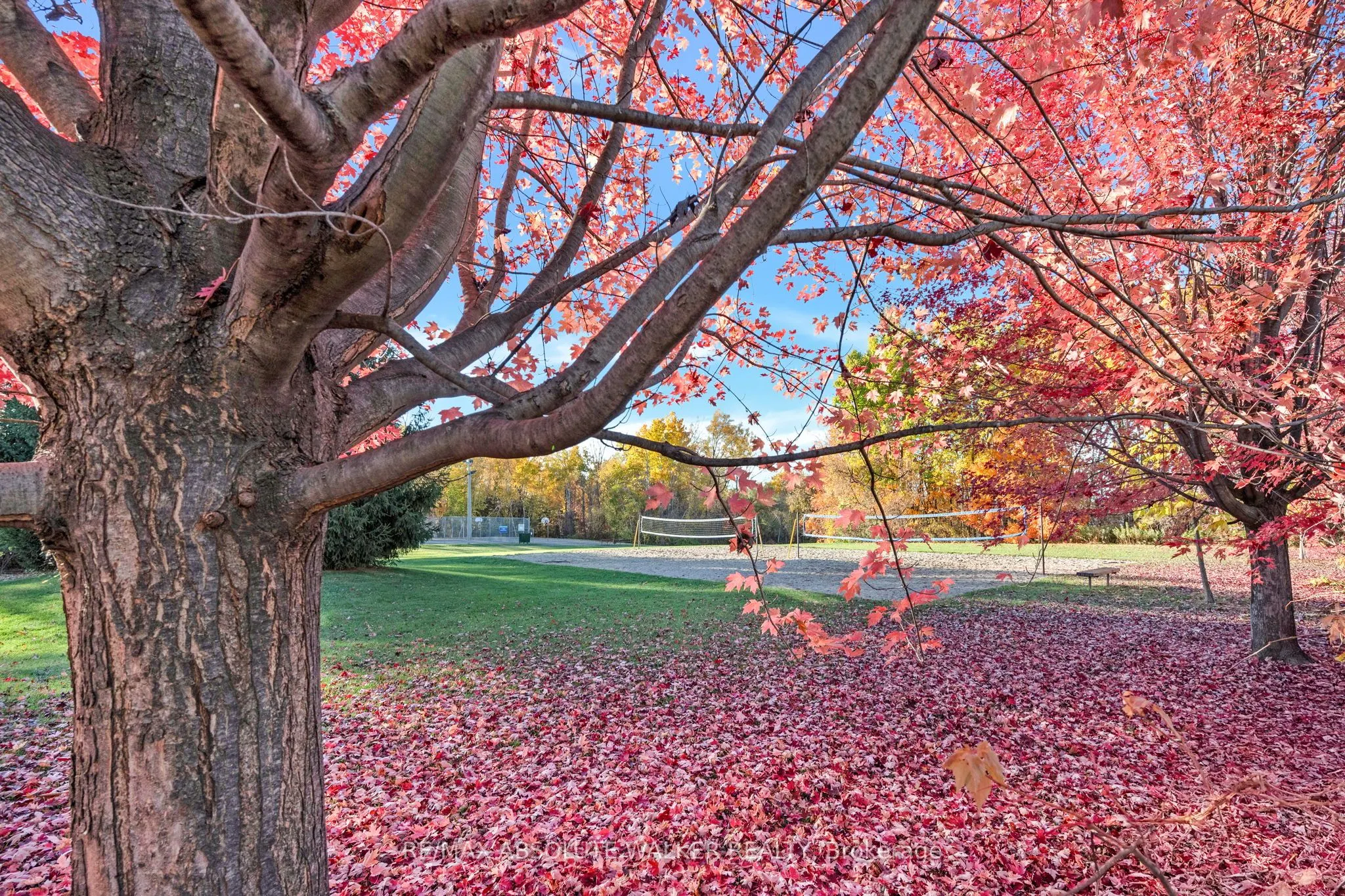 126 Forestcrest Street