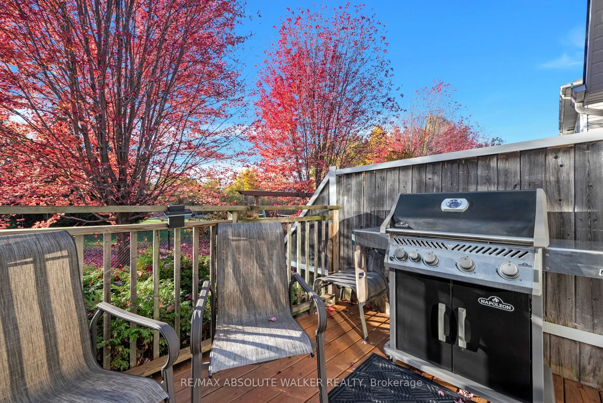 126 Forestcrest Street