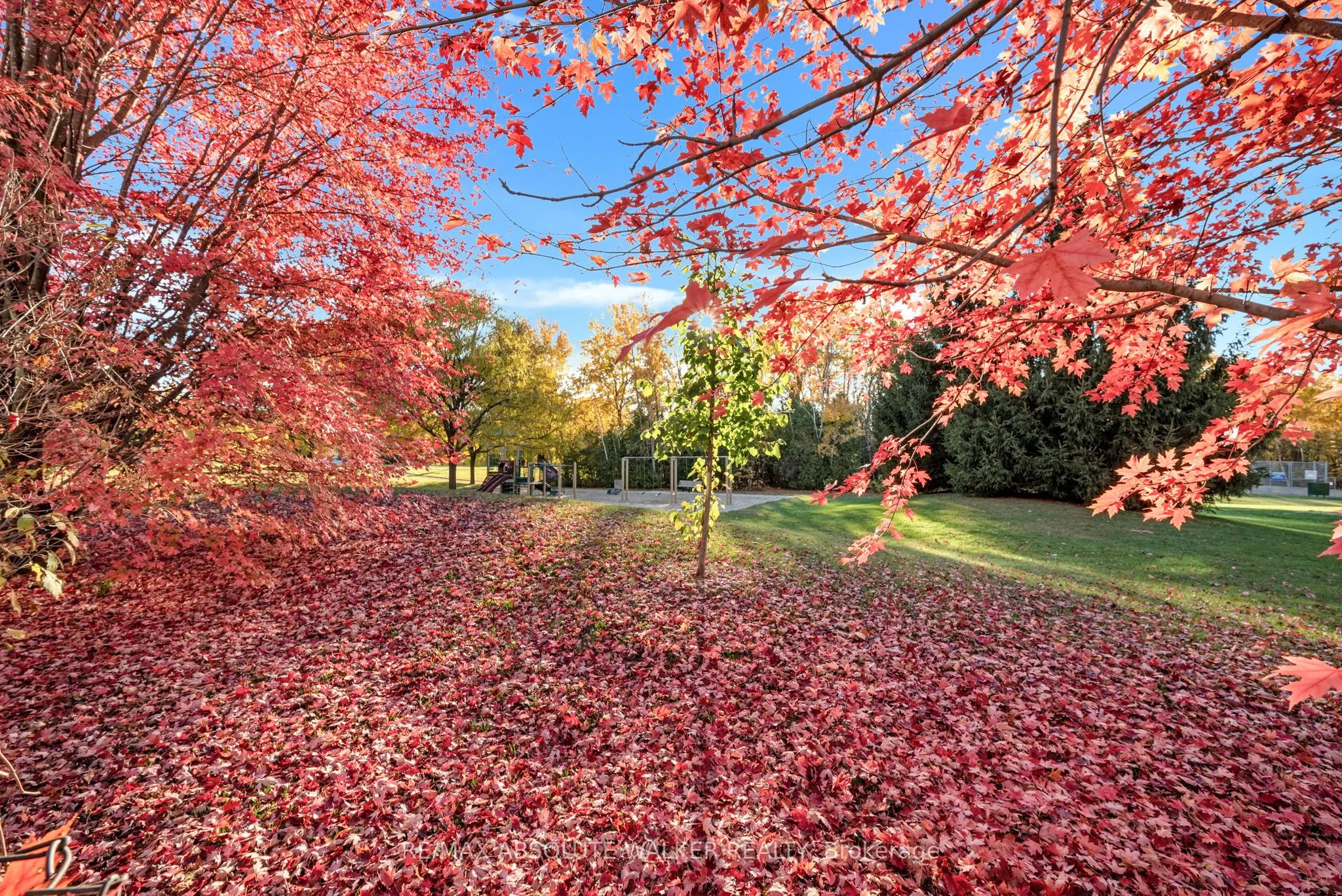 126 Forestcrest Street