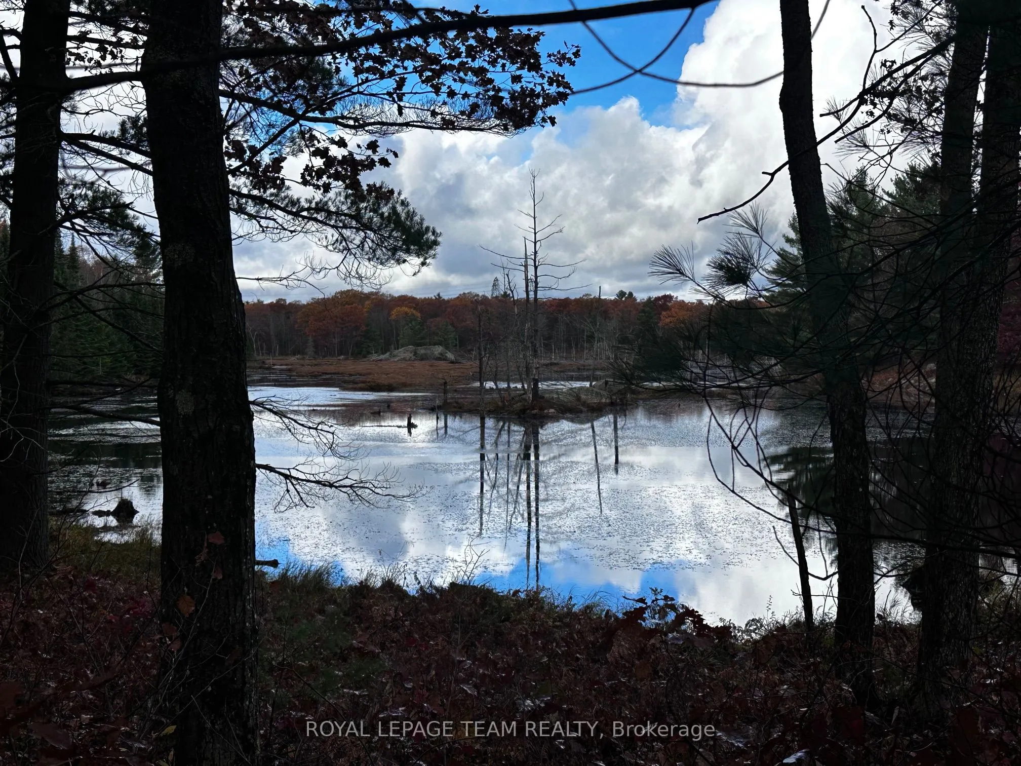 LOT 14 & E 1/2 13 Concession 11 Darling