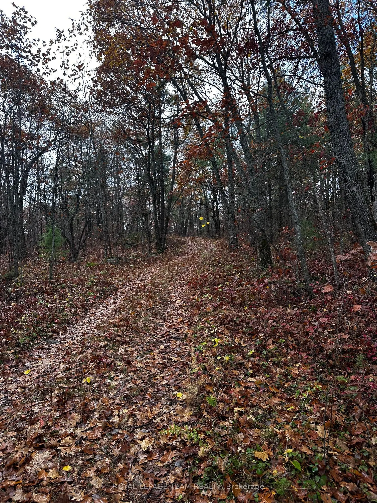 LOT 14 & E 1/2 13 Concession 11 Darling