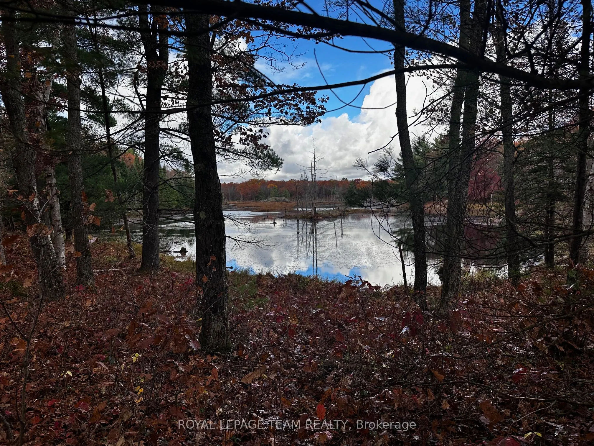 LOT 14 & E 1/2 13 Concession 11 Darling