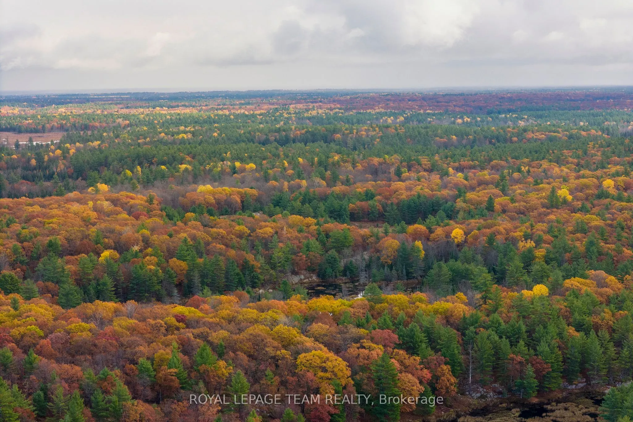 LOT 14 & E 1/2 13 Concession 11 Darling
