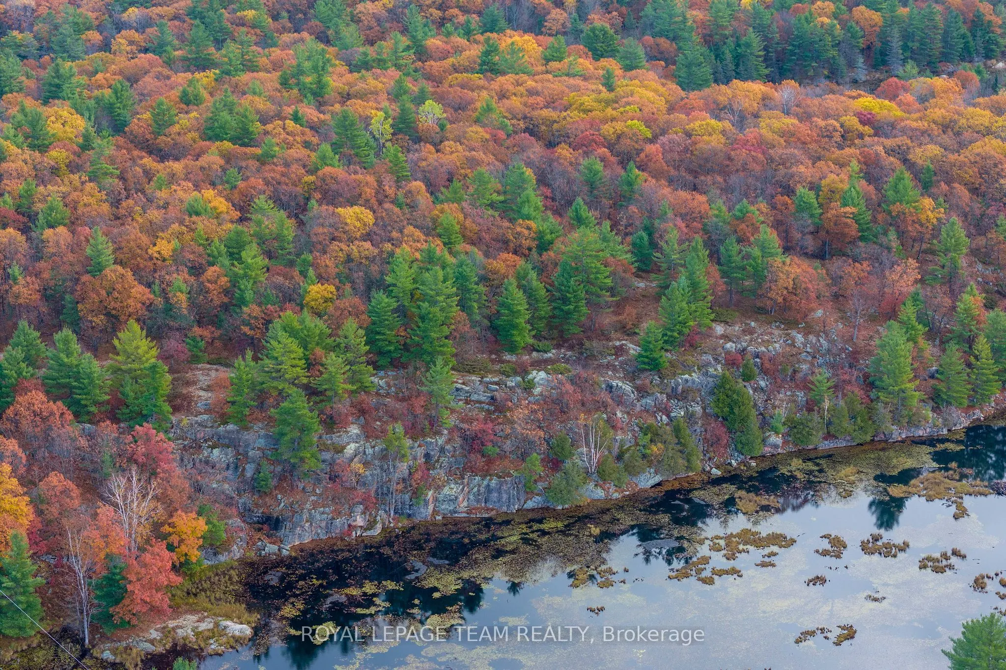 LOT 14 & E 1/2 13 Concession 11 Darling