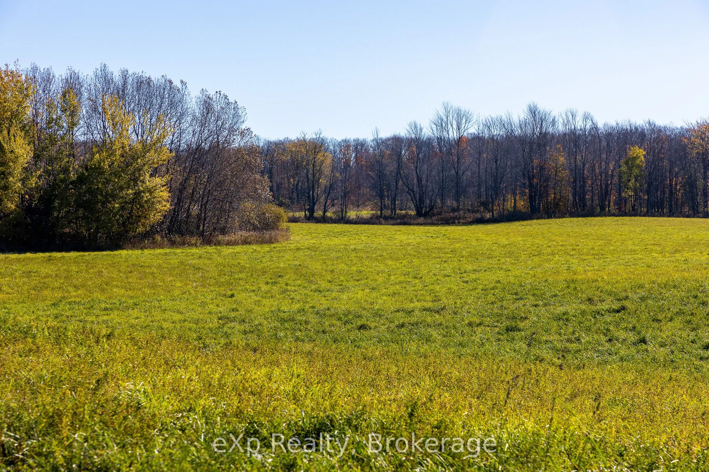 PT LT27 Grey Road 40