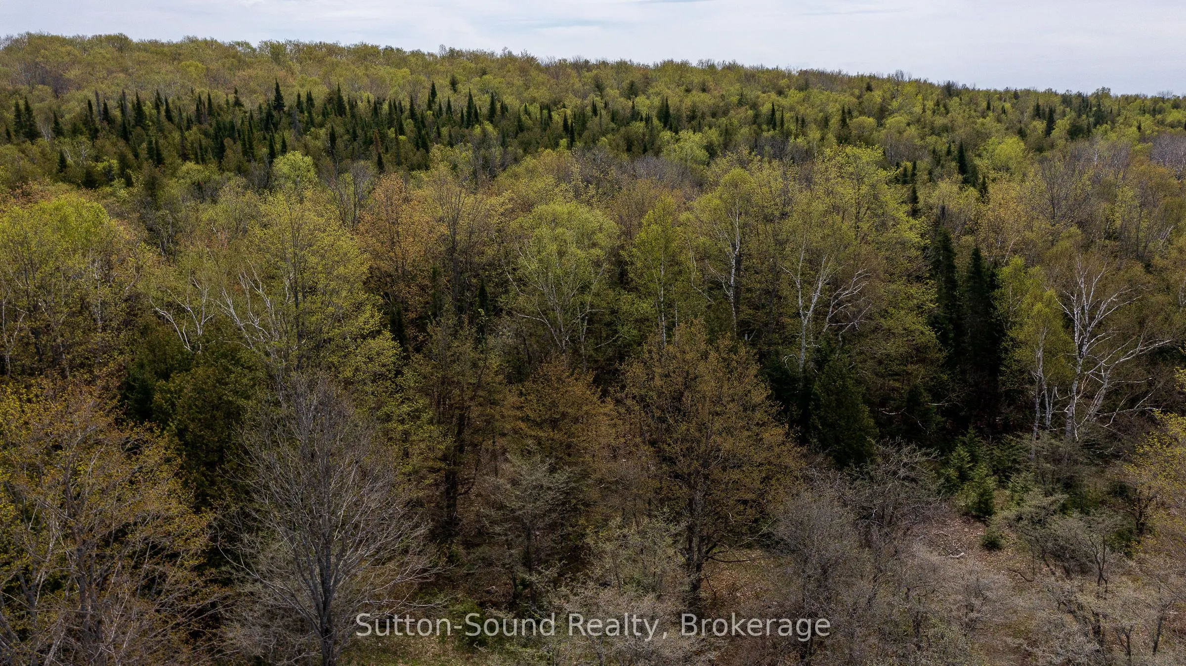 502054 GREY RD 1 999 Road