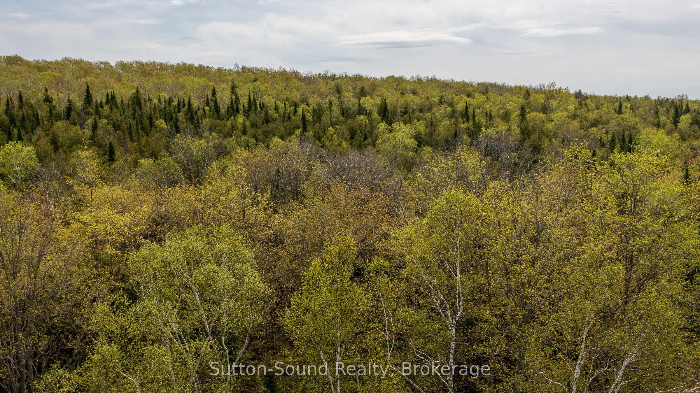 502054 GREY RD 1 999 Road