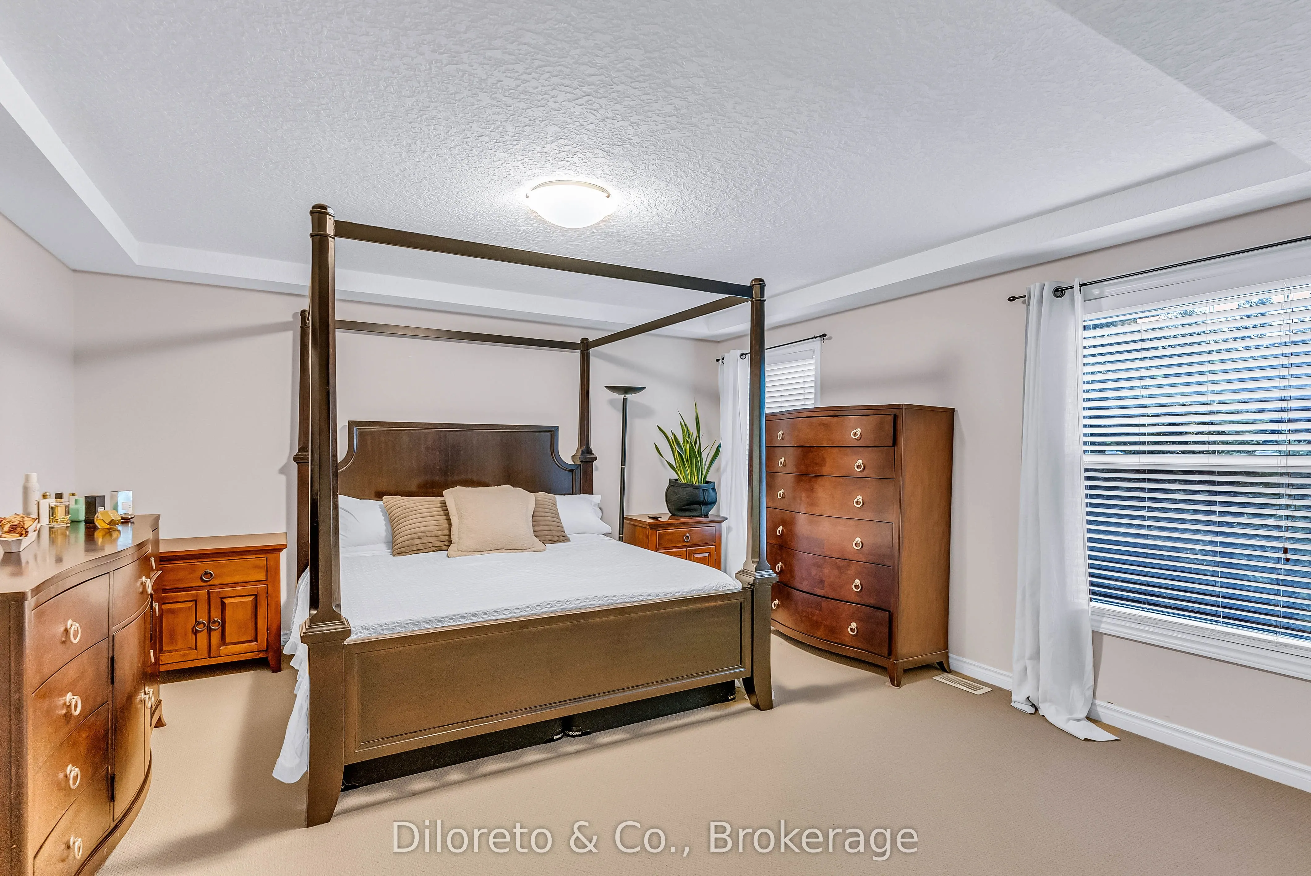 280 Carrington Drive