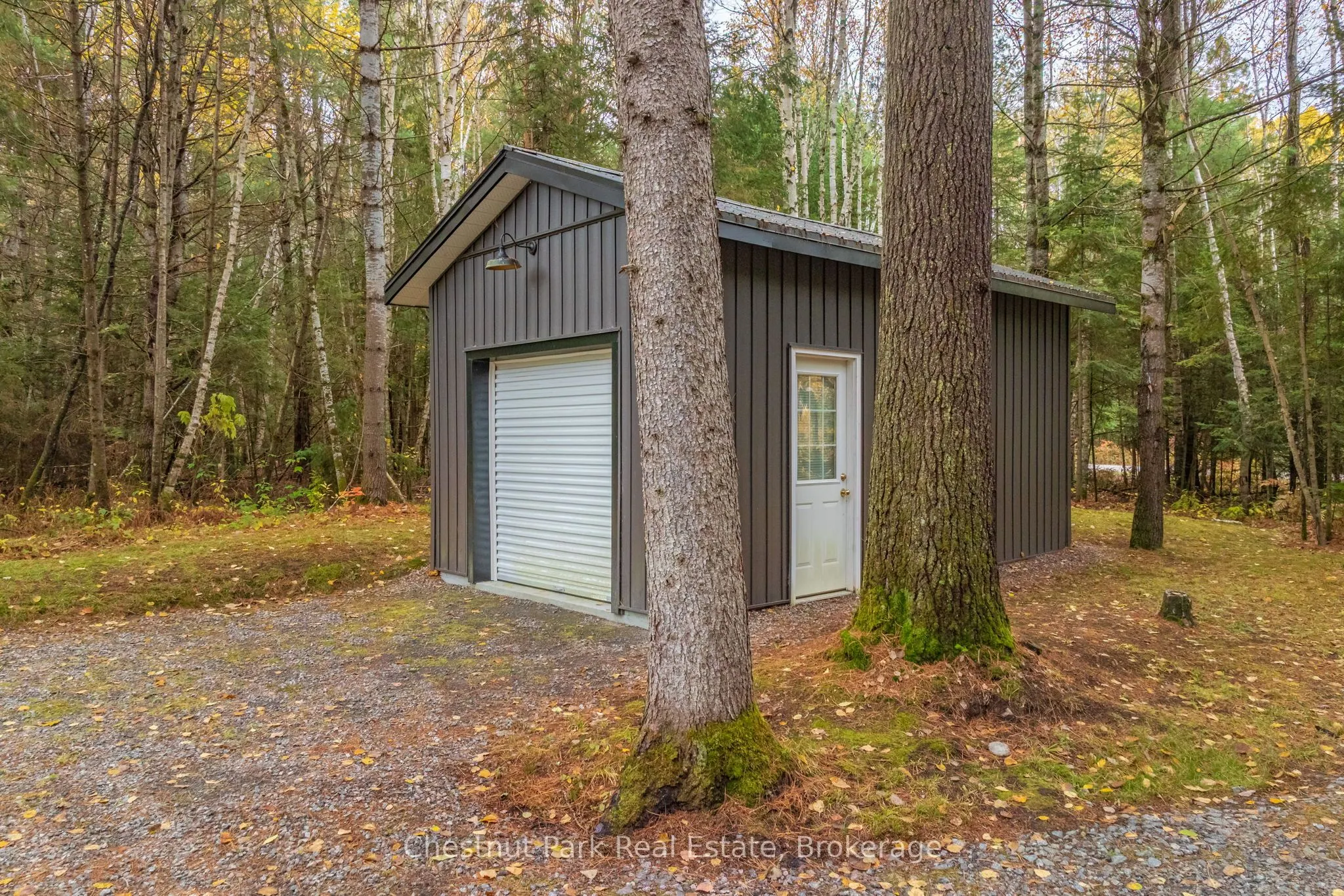 529 Balsam Chutes Road