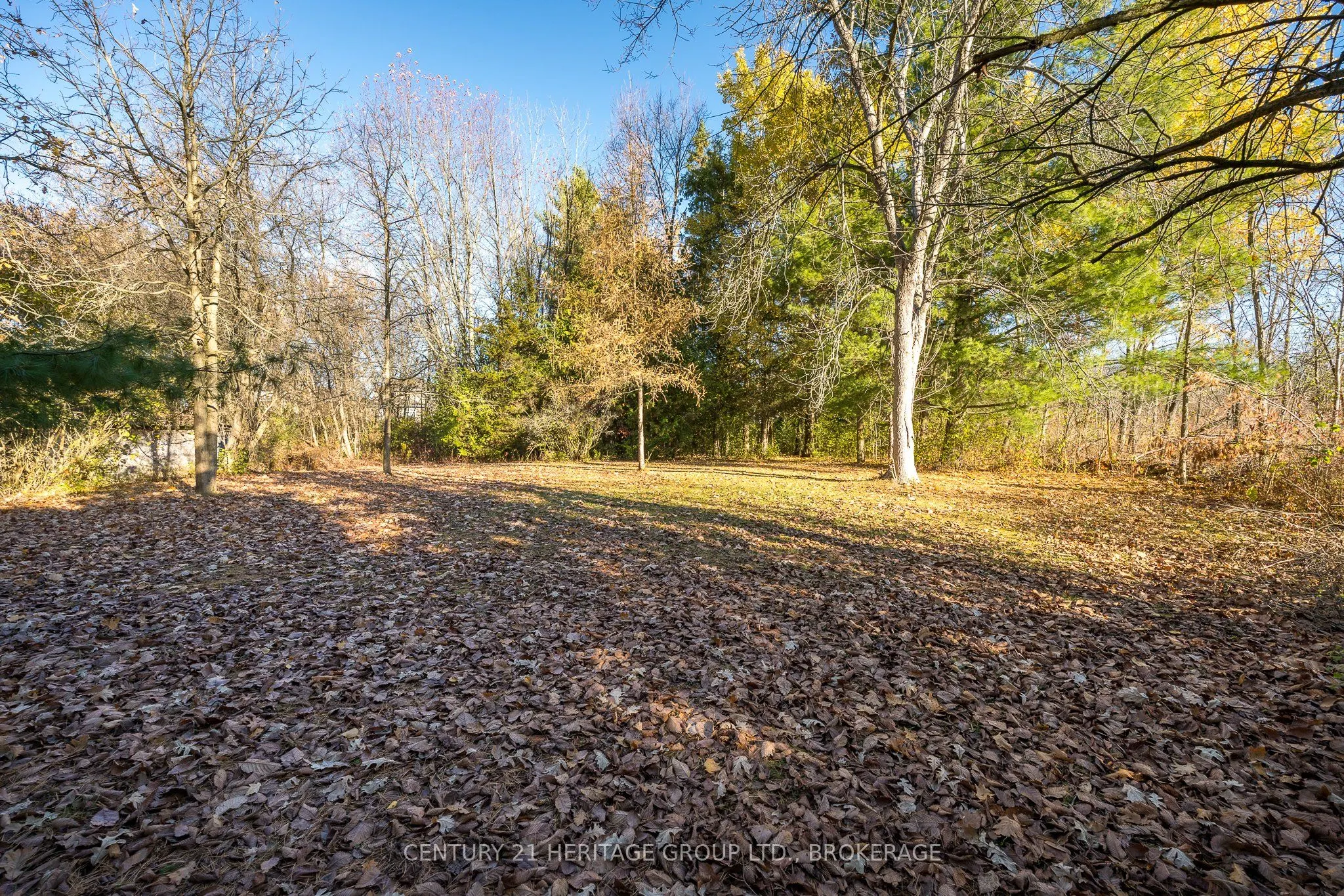 3544 Princess Street