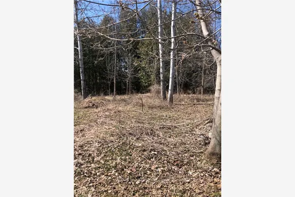 35A Cloverloft Court