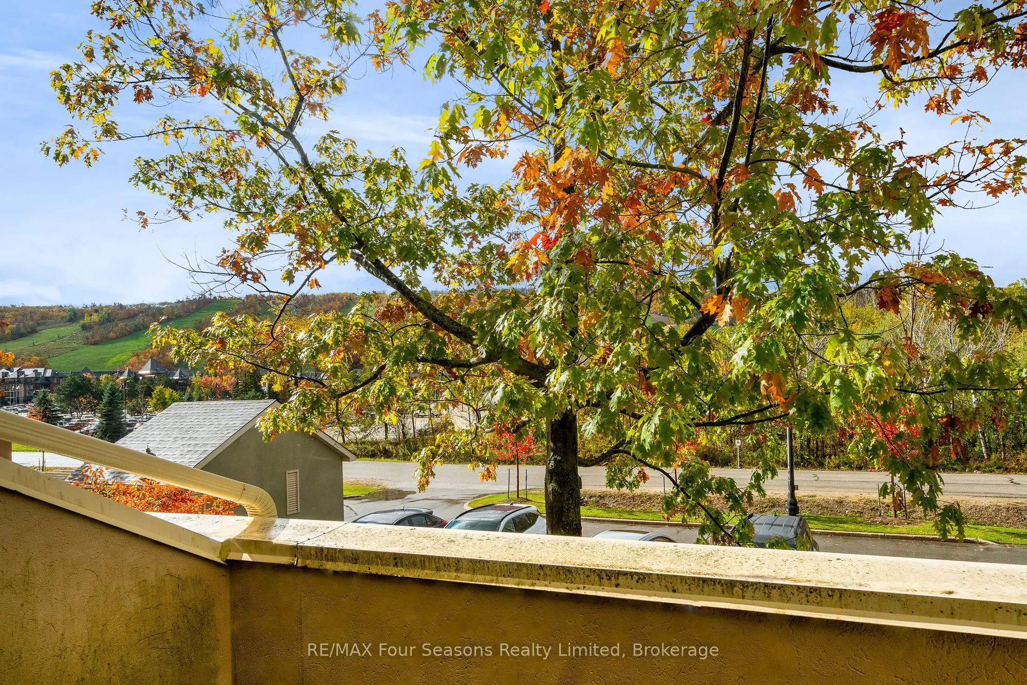 107 Wintergreen Place, #113