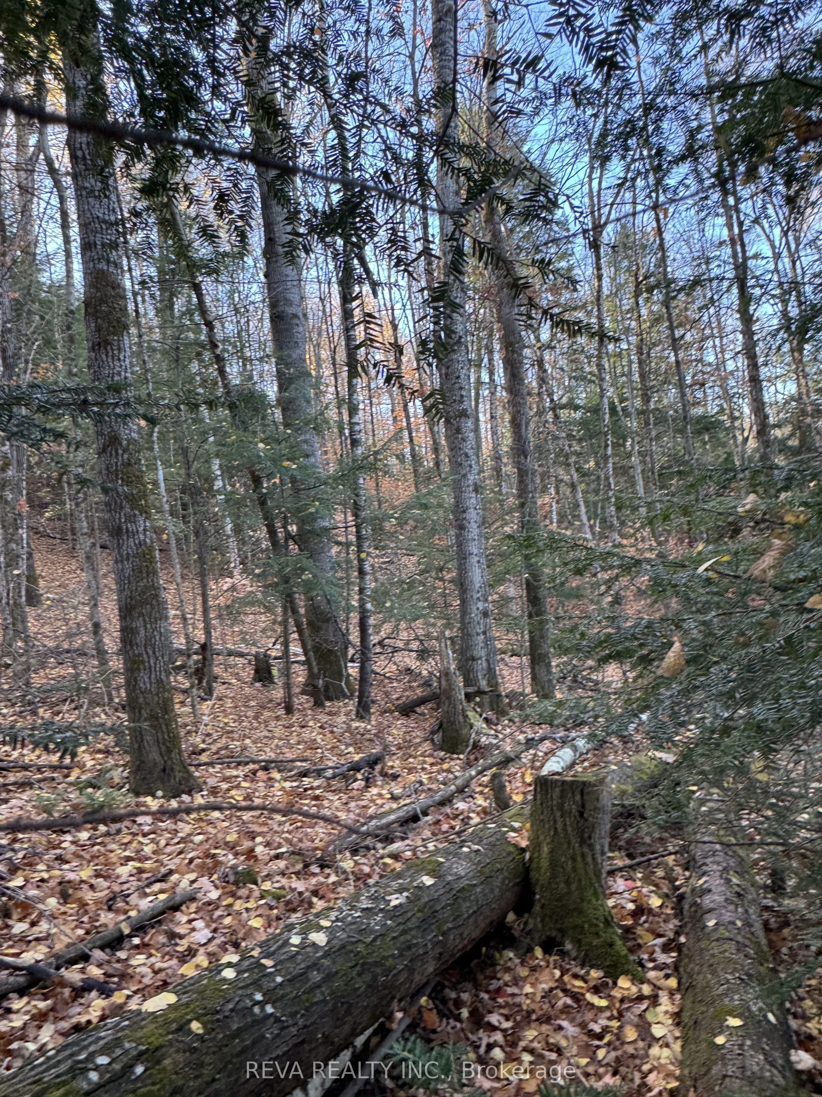 Pt Lt 12 & 13, Con 16 Mallard Lake Road