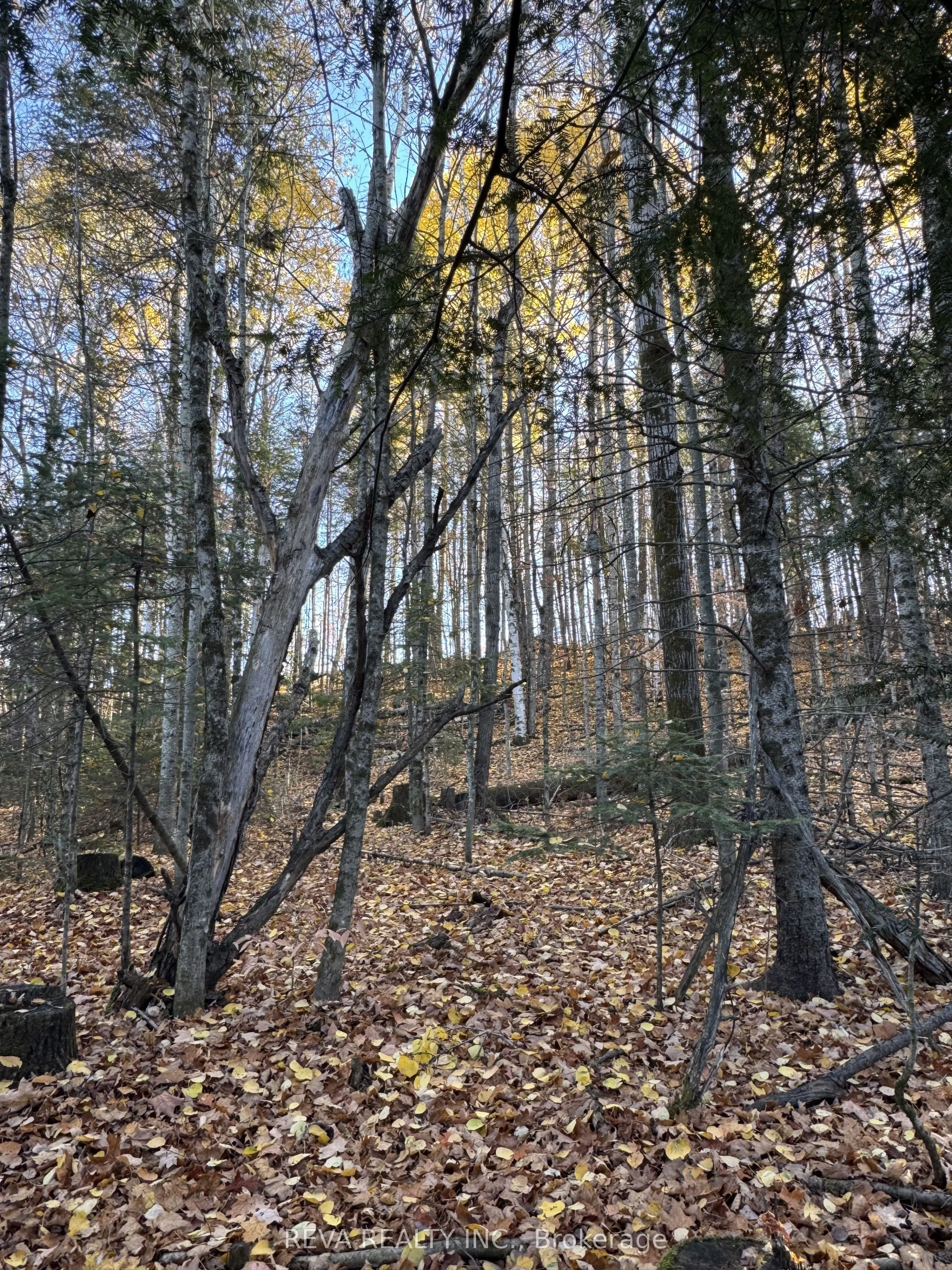 Pt Lt 12 & 13, Con 16 Mallard Lake Road