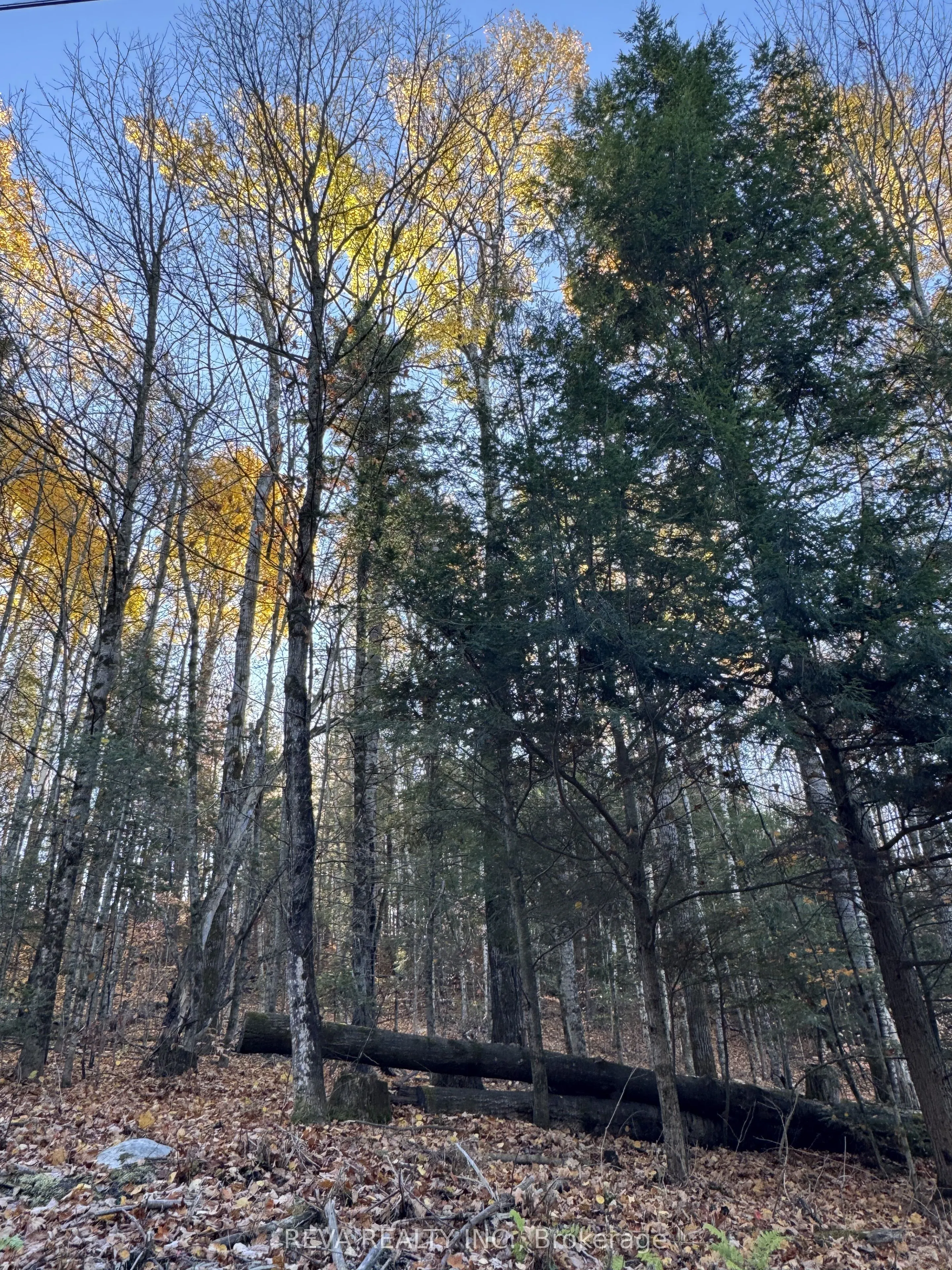 Pt Lt 12 & 13, Con 16 Mallard Lake Road