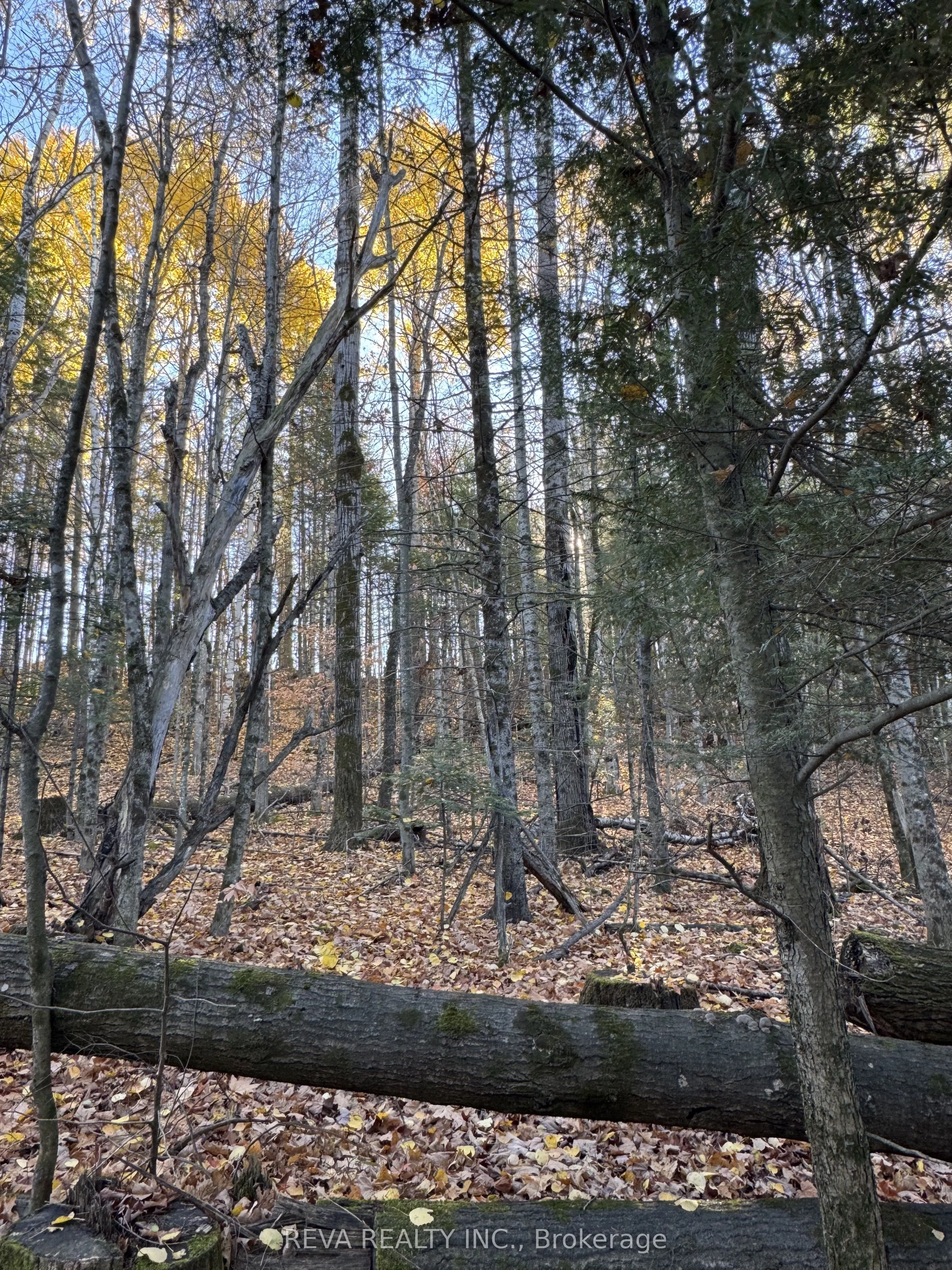 Pt Lt 12 & 13, Con 16 Mallard Lake Road