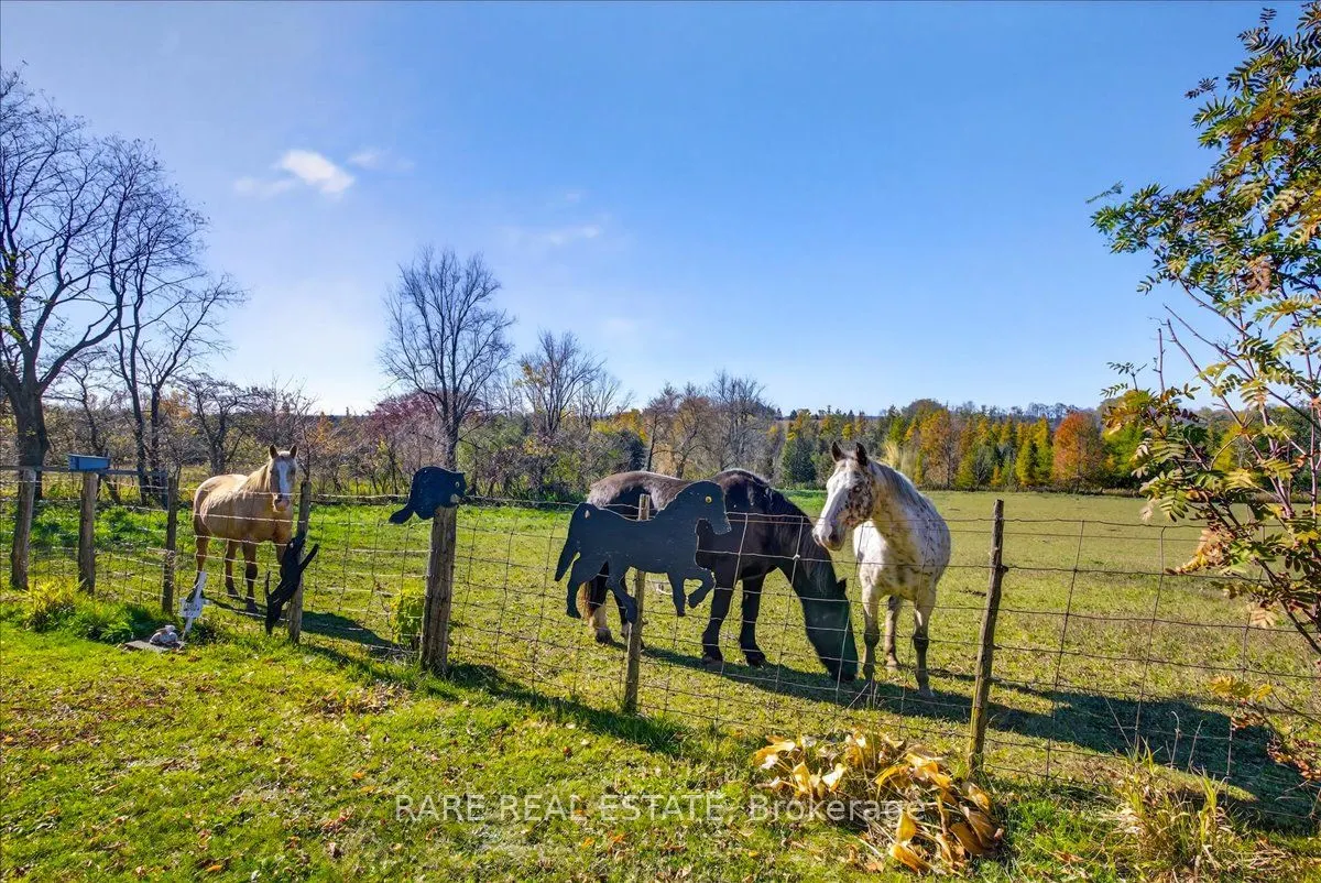 302694 Douglas Street, #61