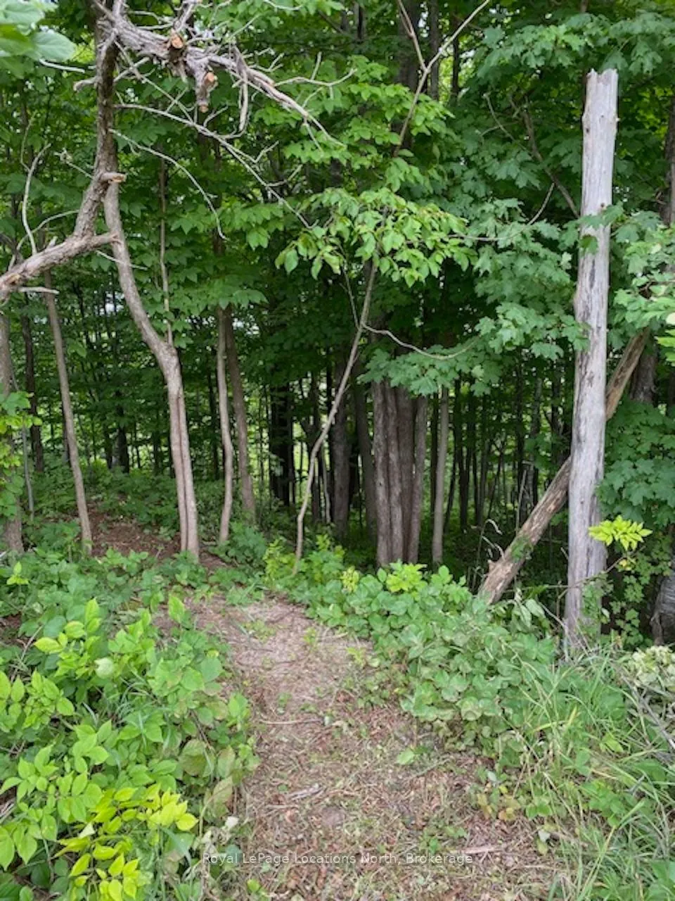 PTLT 40 12 Concession