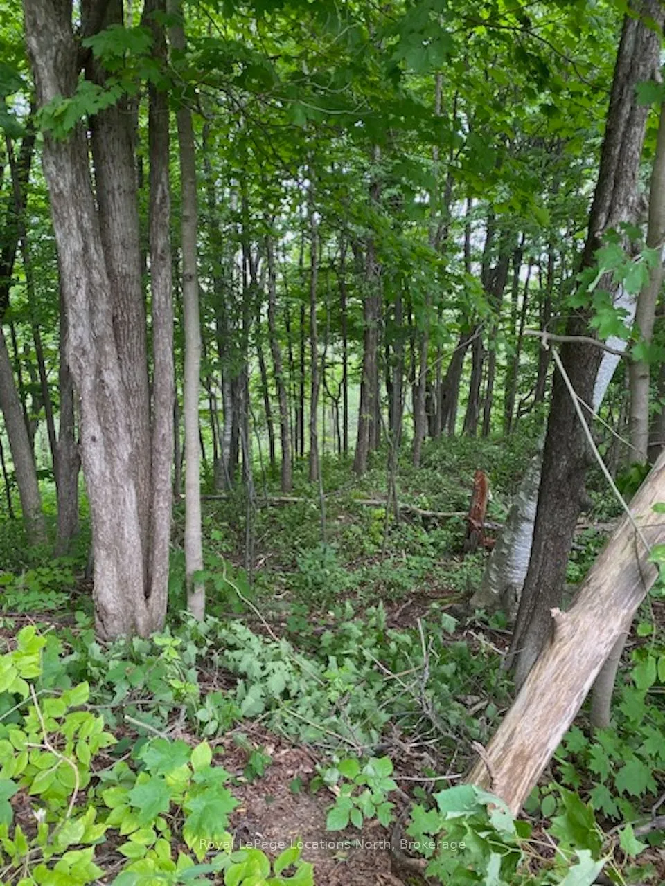 PTLT 40 12 Concession