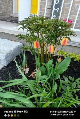 210 Farrier Crescent