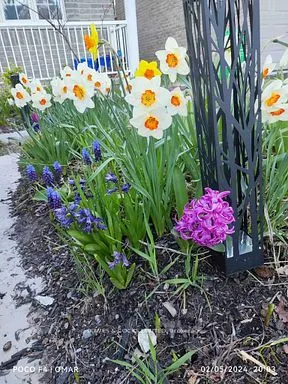 210 Farrier Crescent