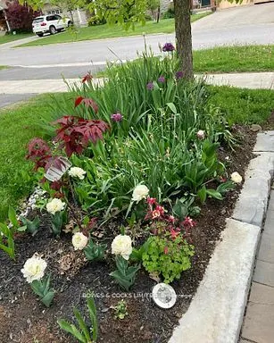 210 Farrier Crescent