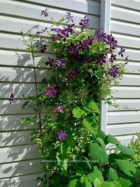 210 Farrier Crescent