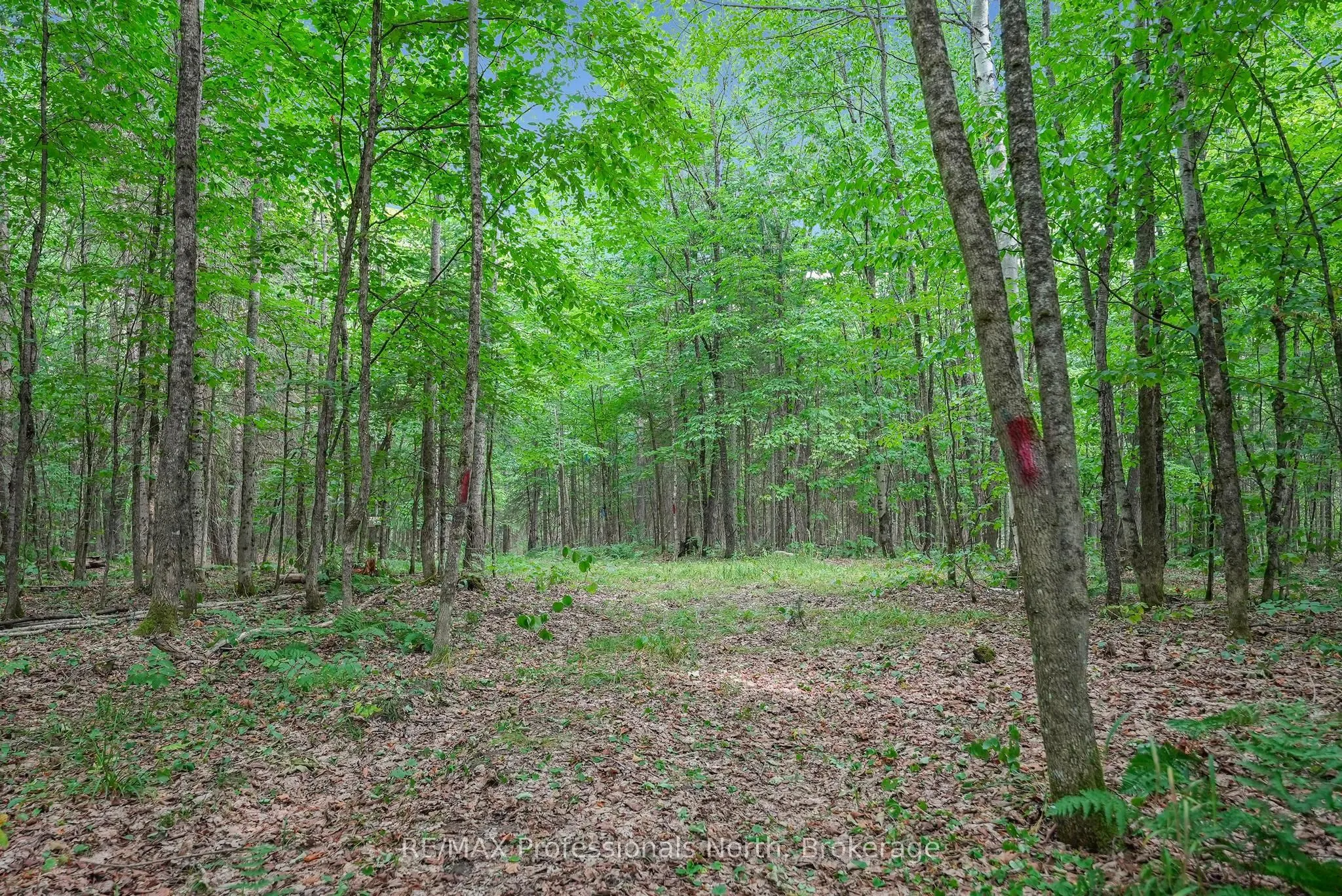 1453 Minnicock Lake Road