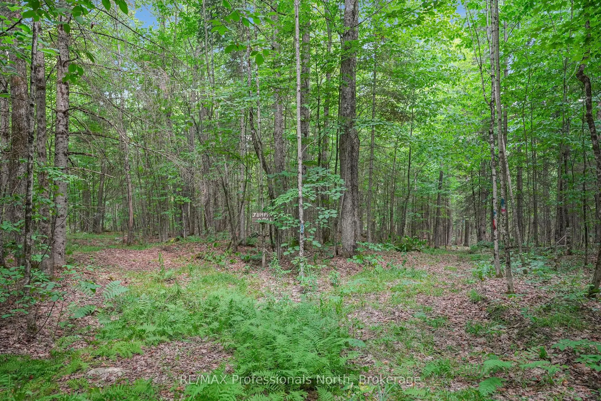 1453 Minnicock Lake Road