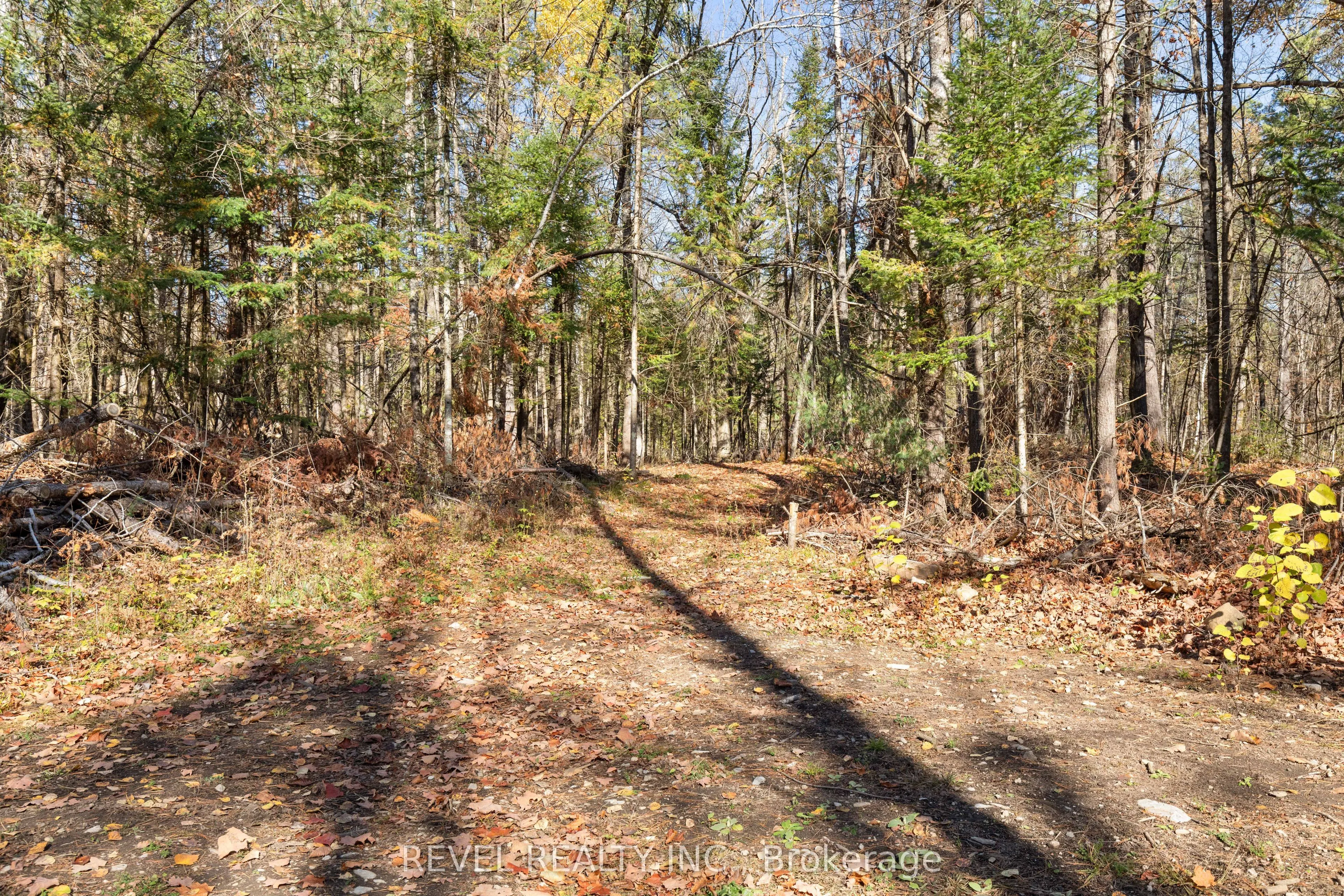 2371 County Rd 48 Road