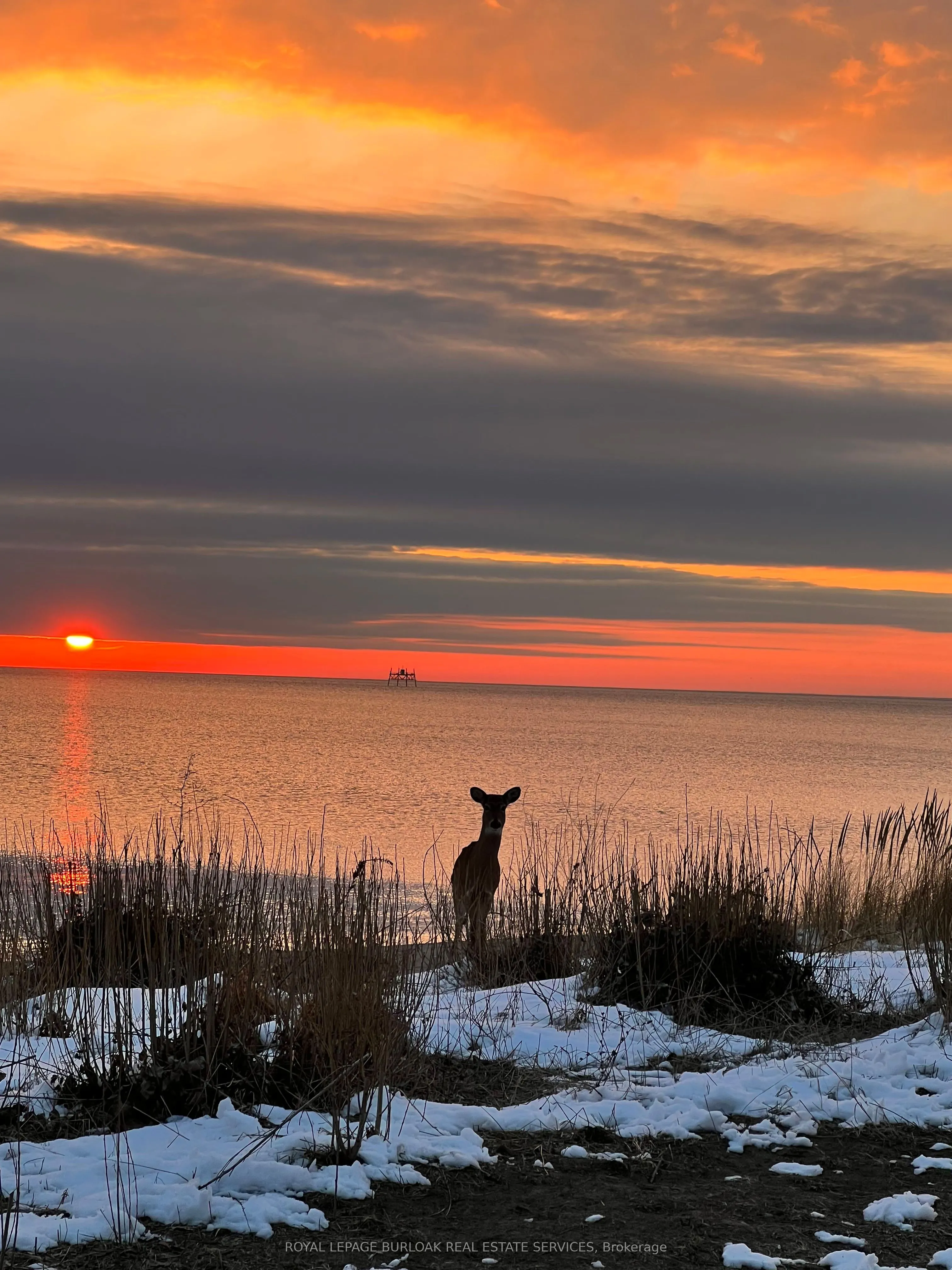 337 Beach Boulevard, #7