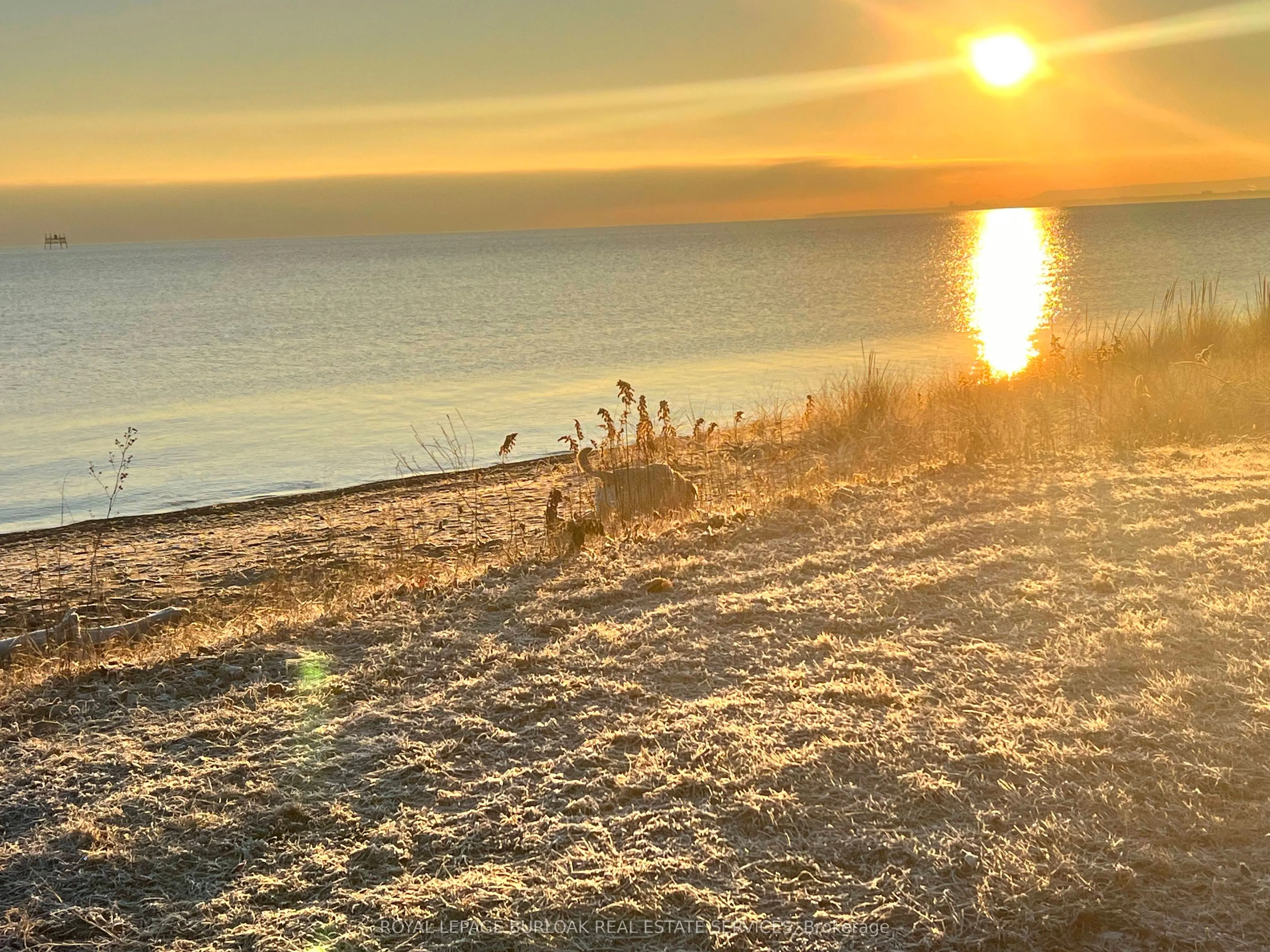 337 Beach Boulevard, #7