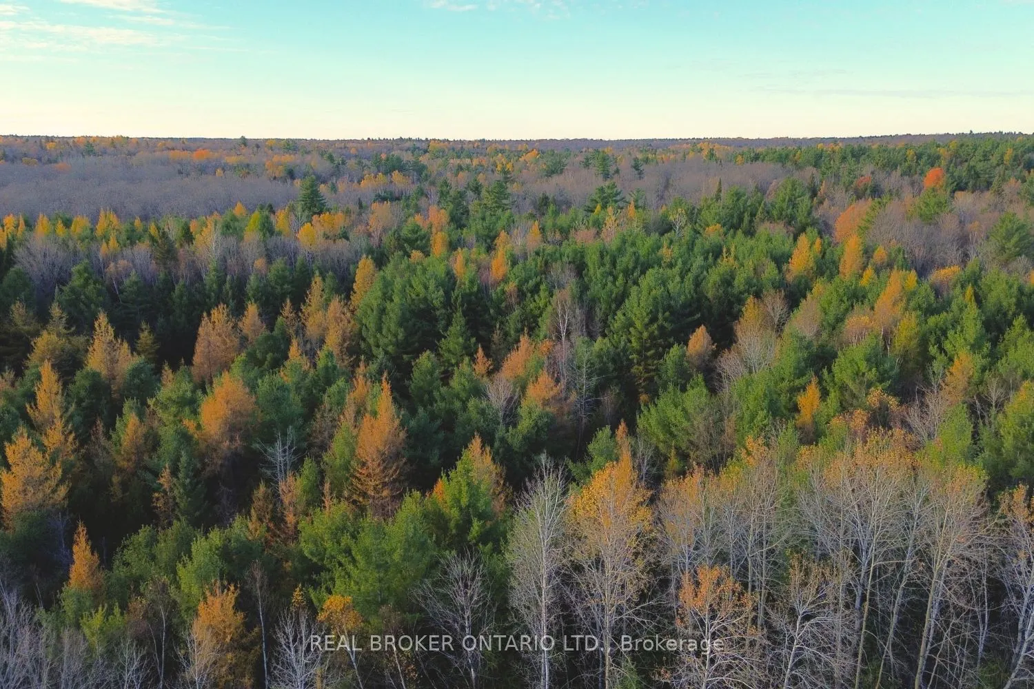 Lot 2 Watsons Corners Road