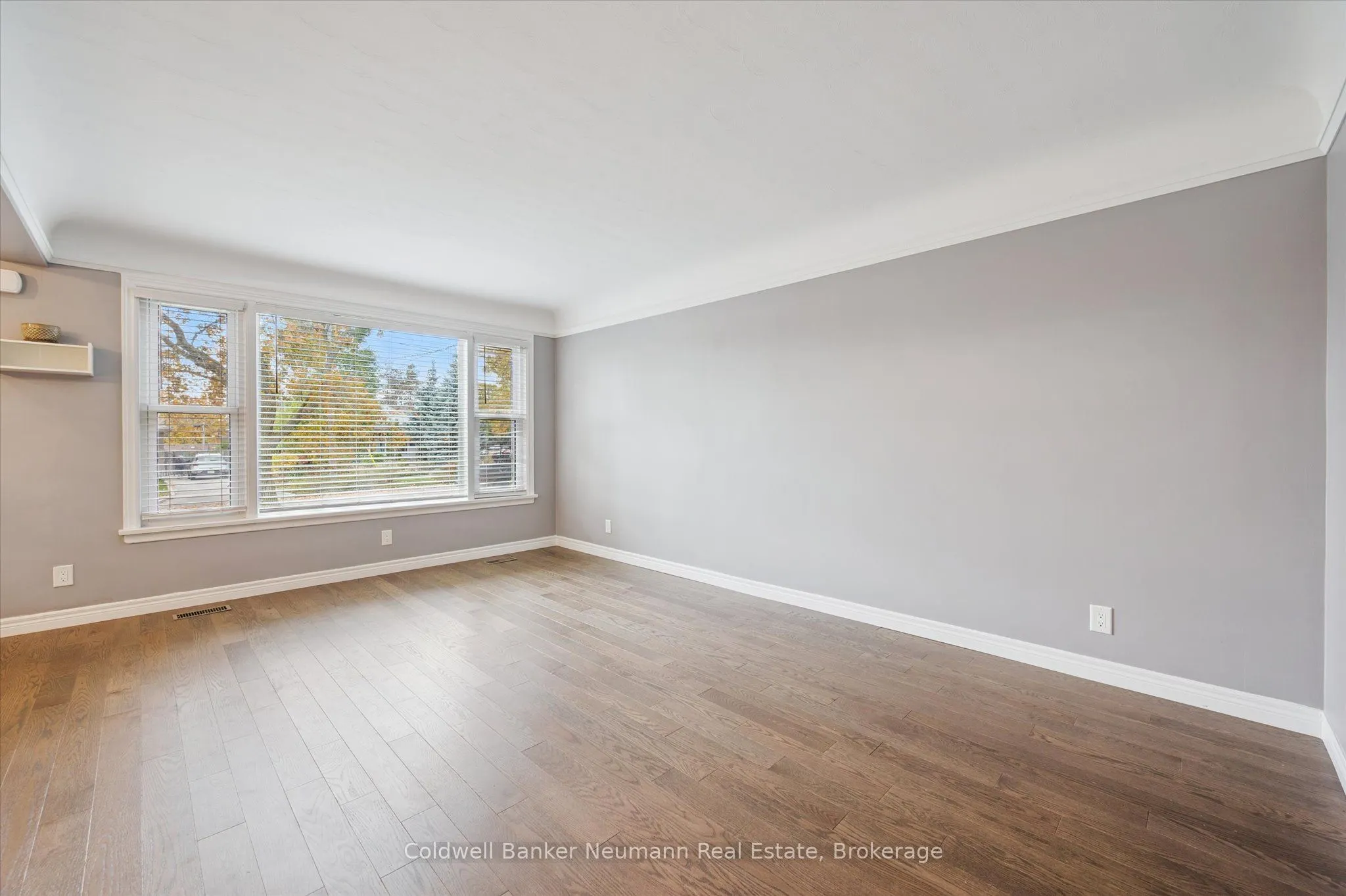 23 Collingwood Street