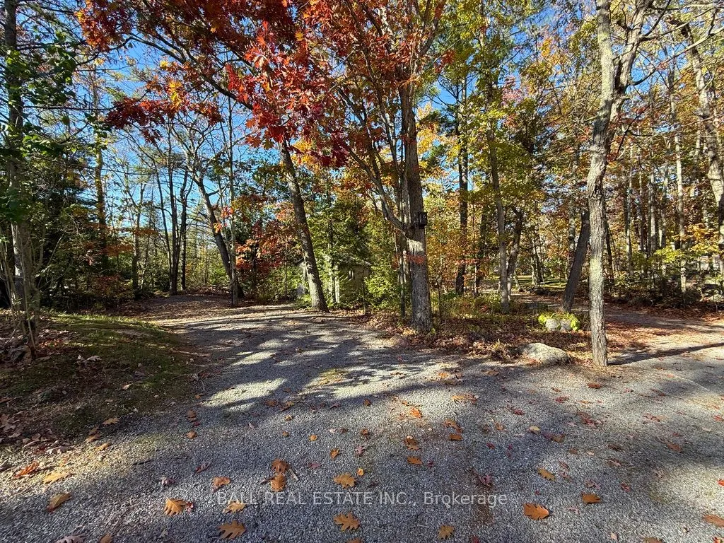 2149 Little Chipmunk Road