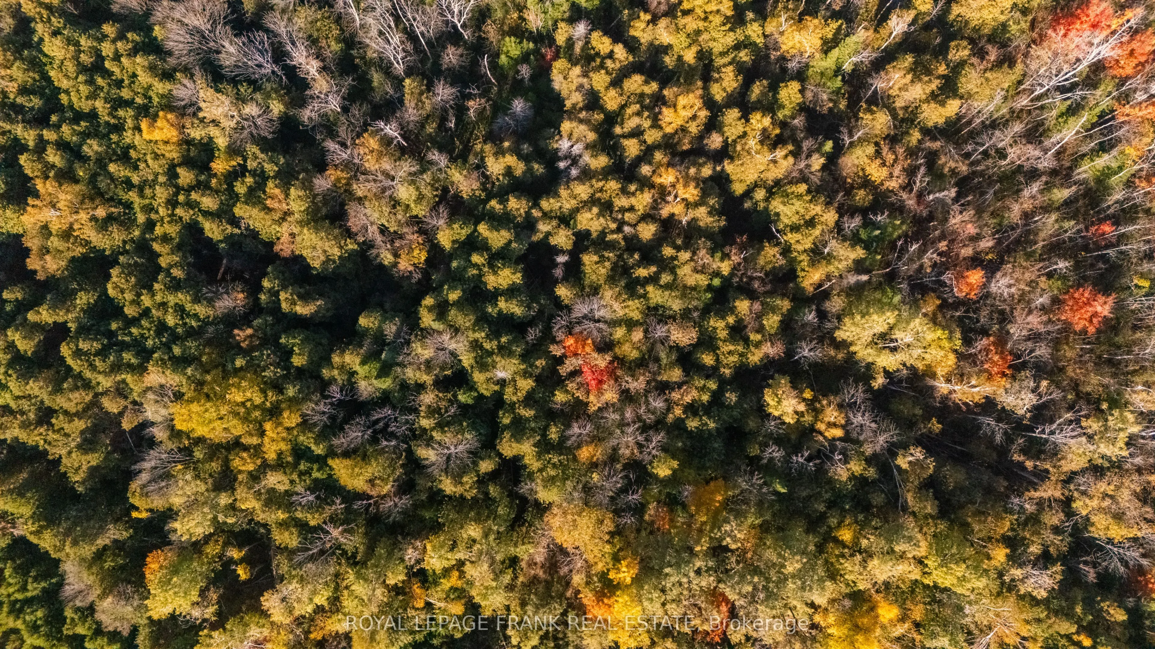 740 Mount Horeb Road