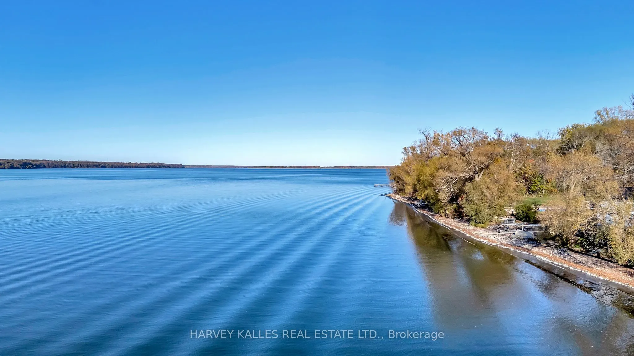 12130 Loyalist Parkway