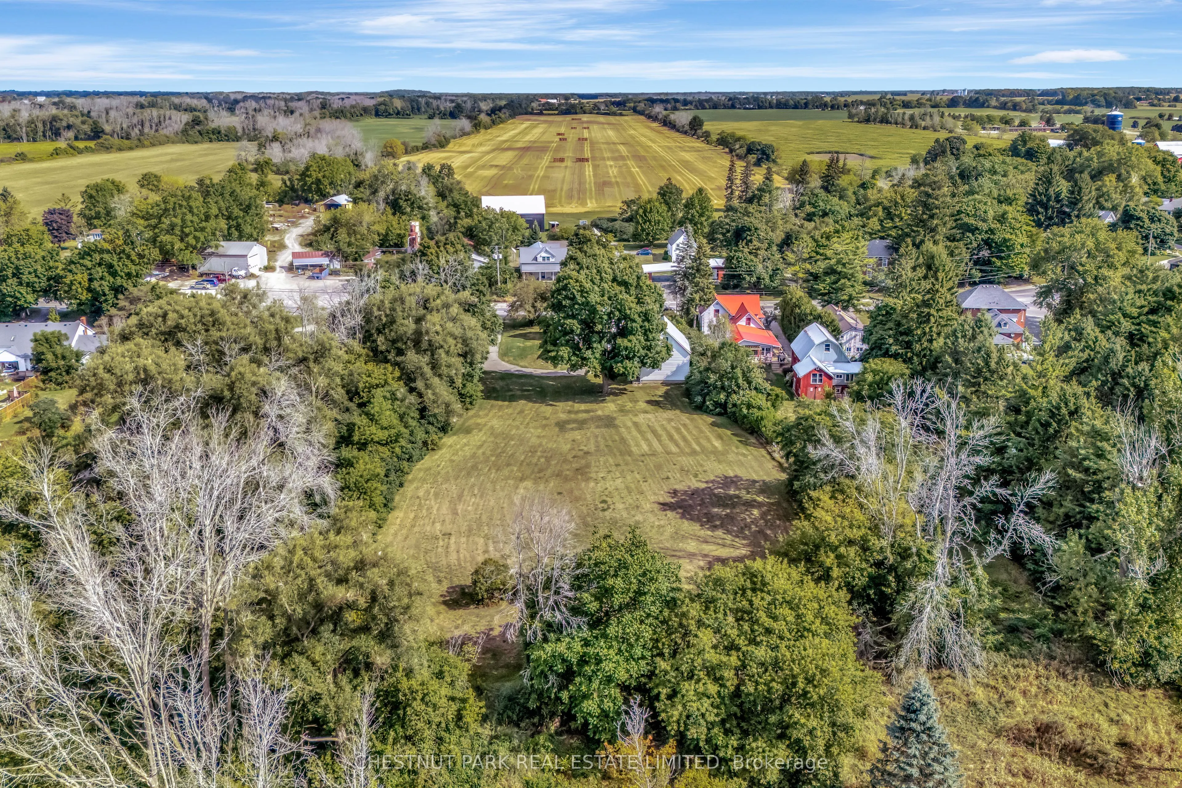 385 Bloomfield Main Street