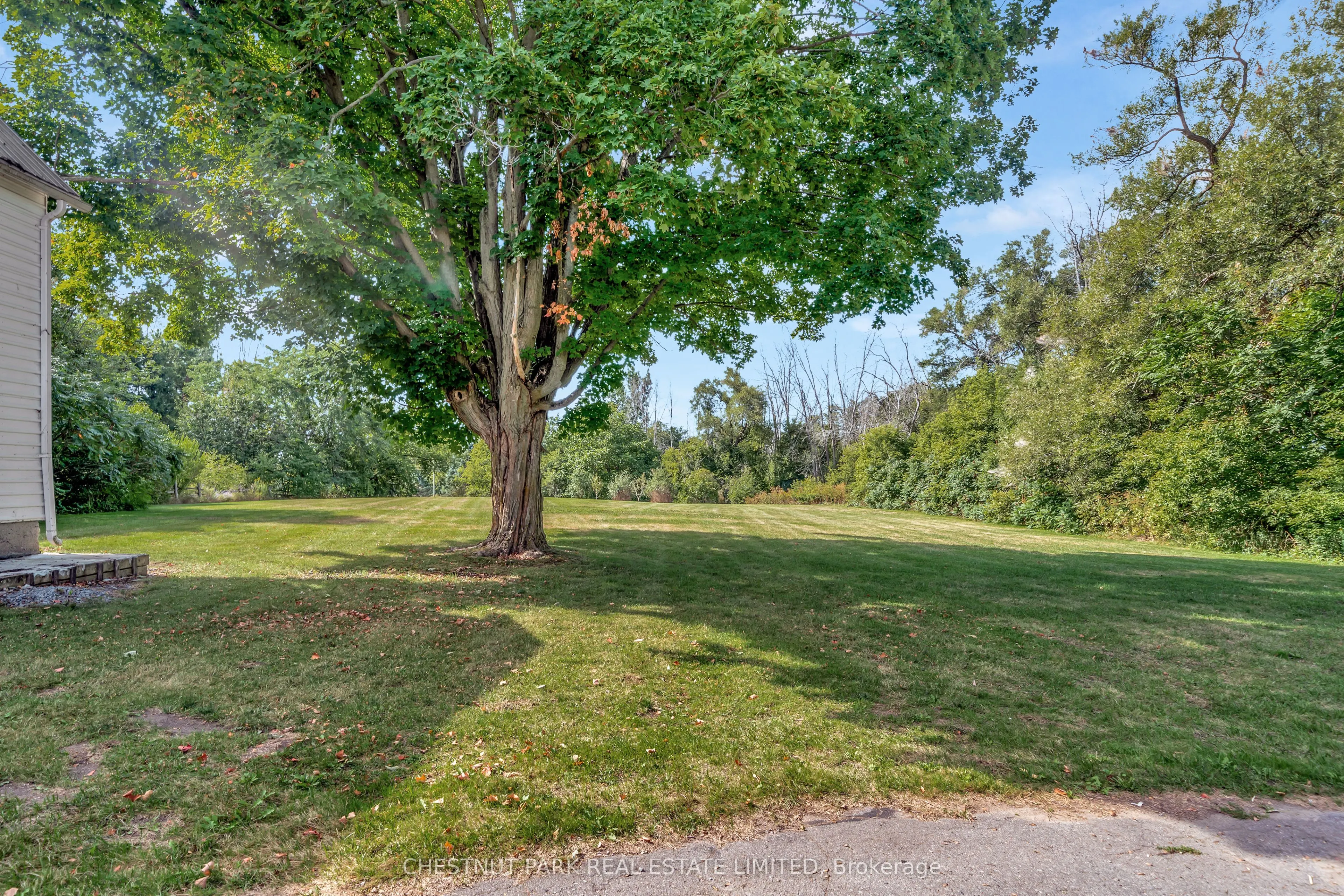 385 Bloomfield Main Street