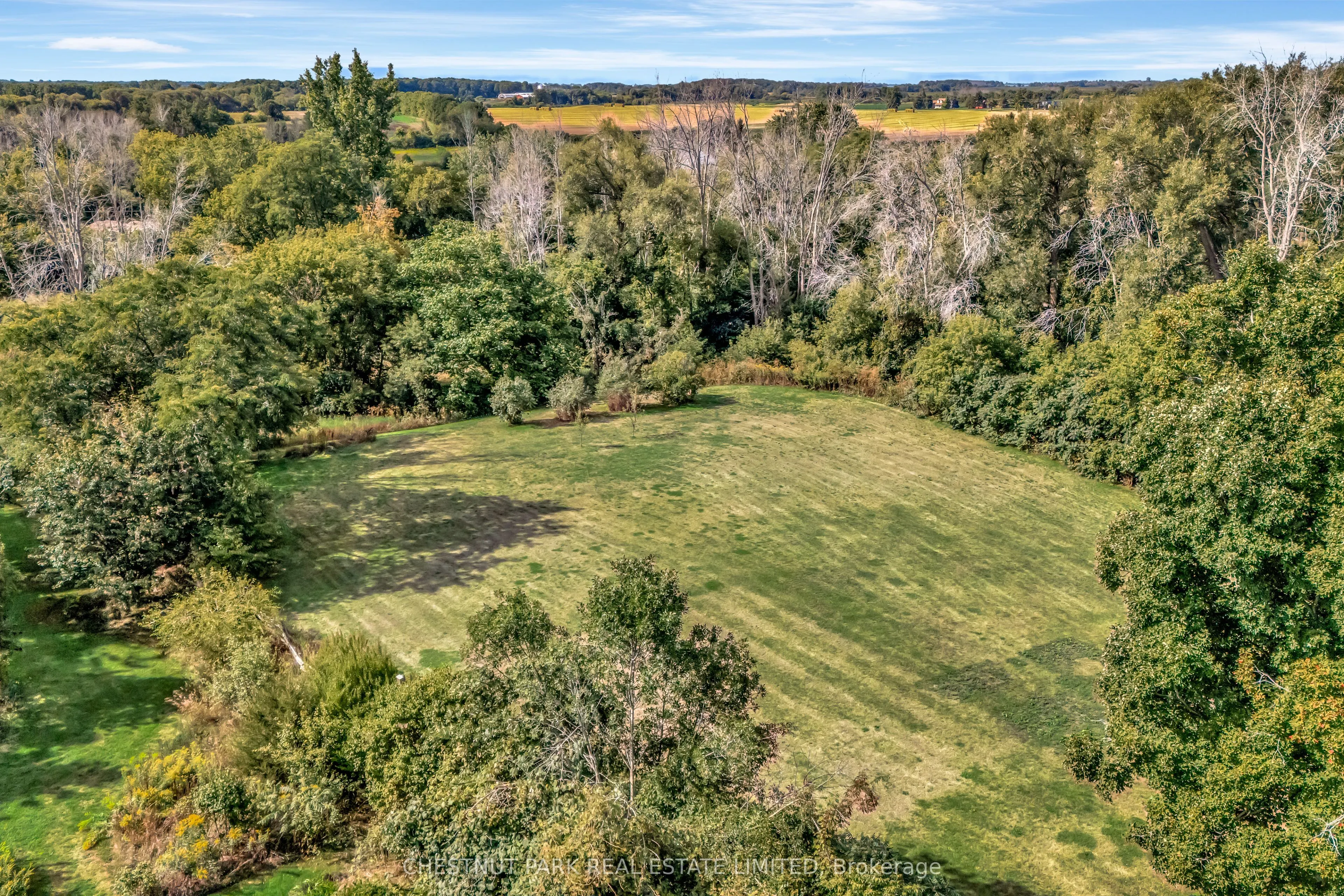 385 Bloomfield Main Street