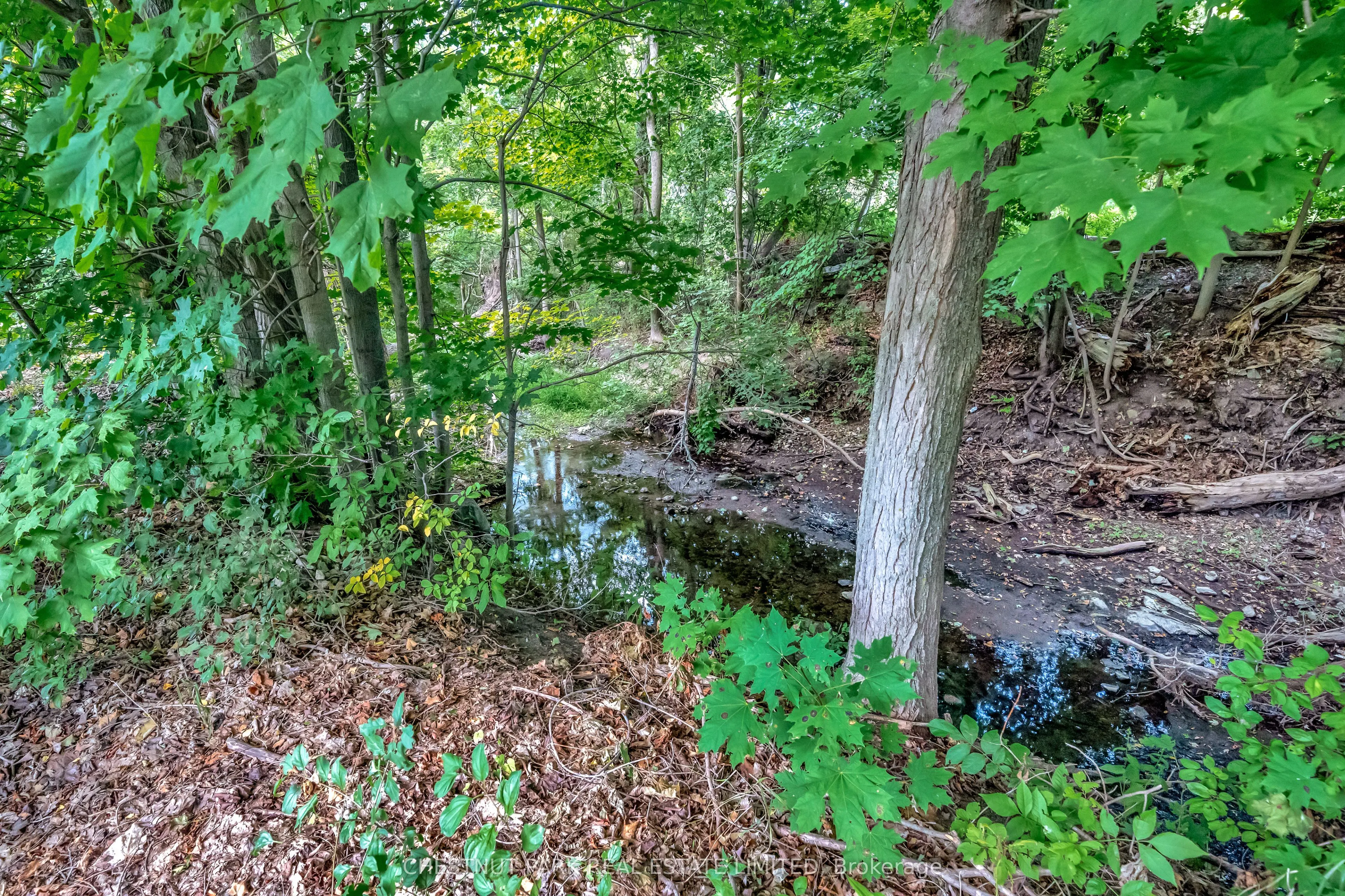 385 Bloomfield Main Street