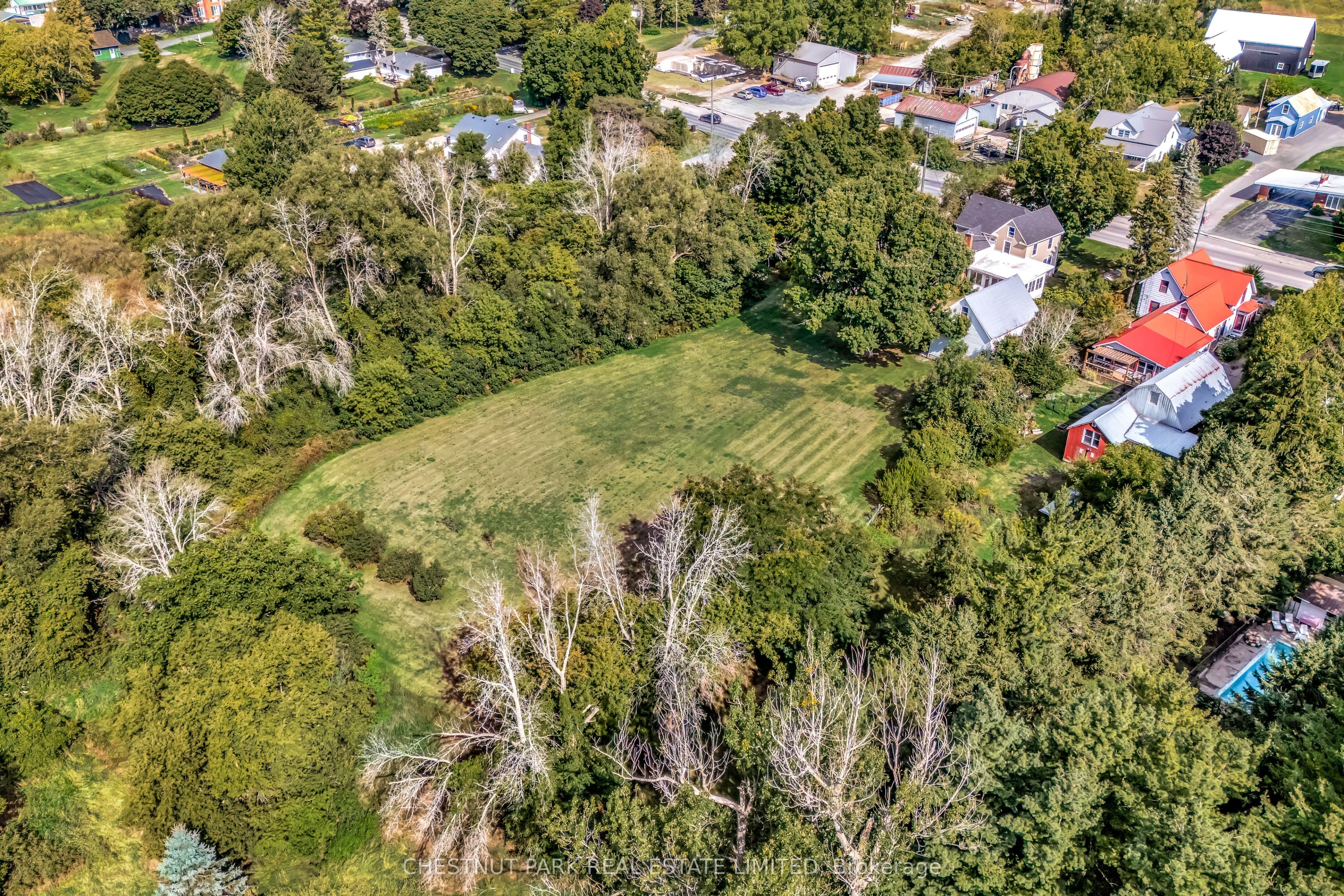 385 Bloomfield Main Street