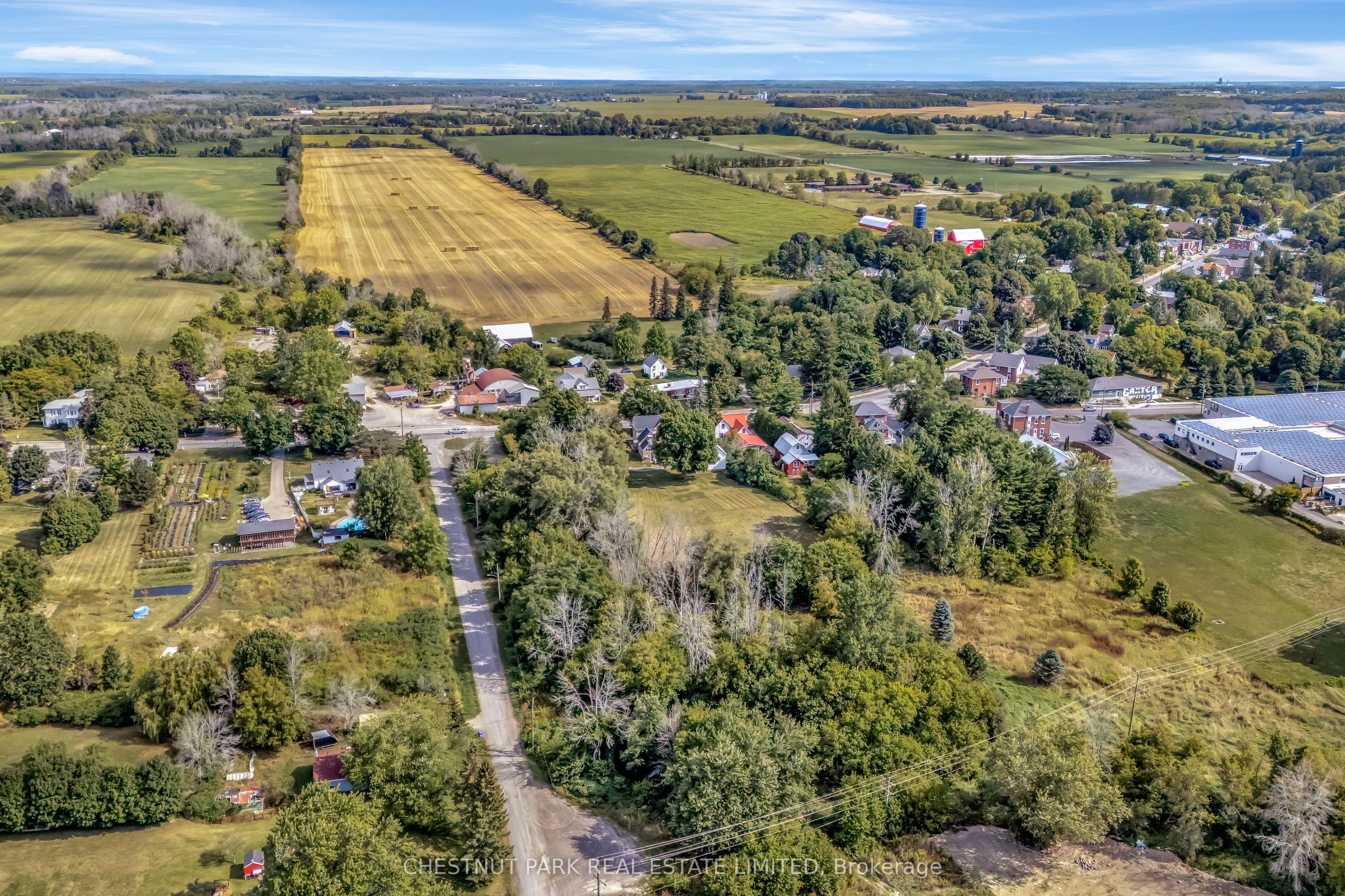 385 Bloomfield Main Street