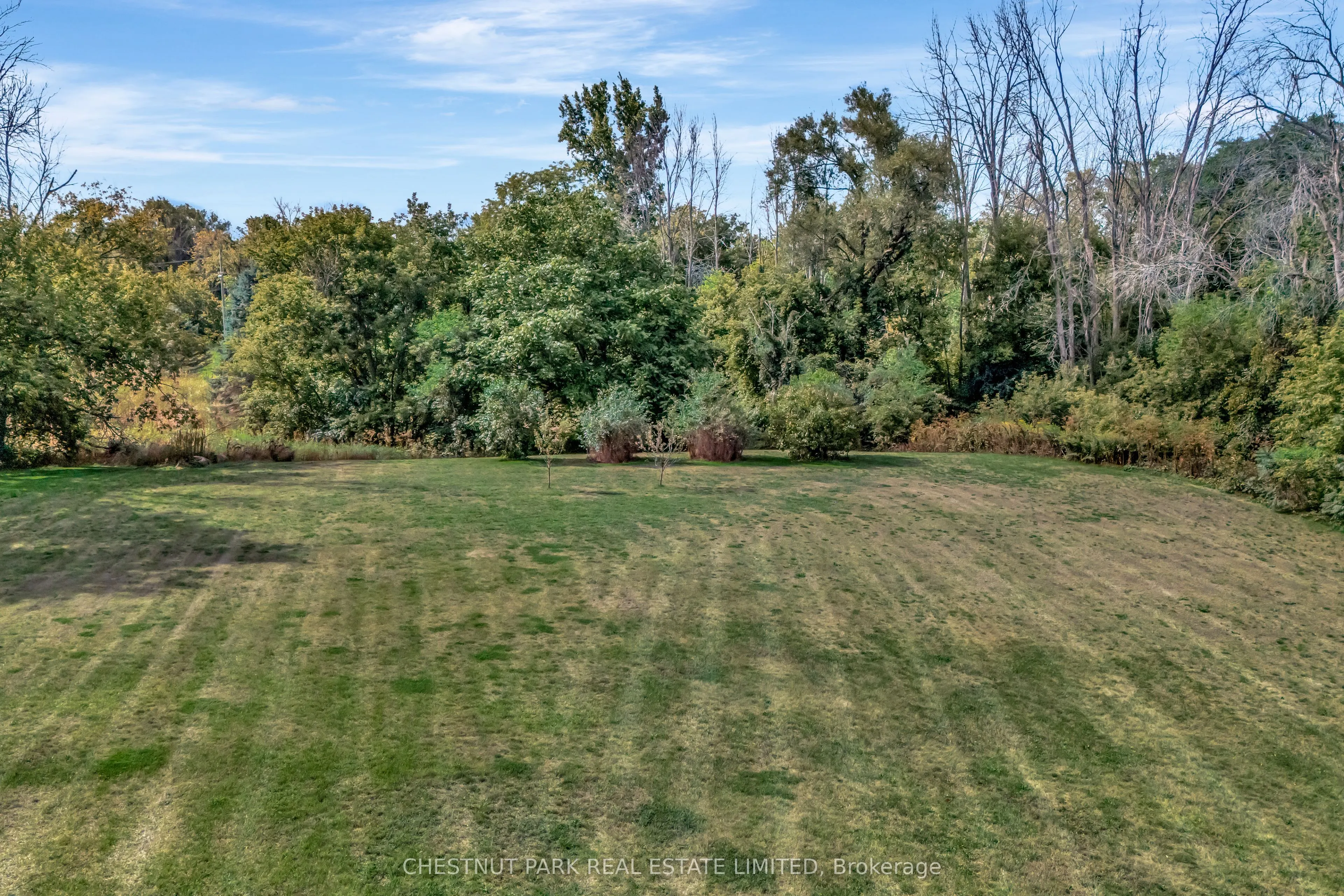 385 Bloomfield Main Street