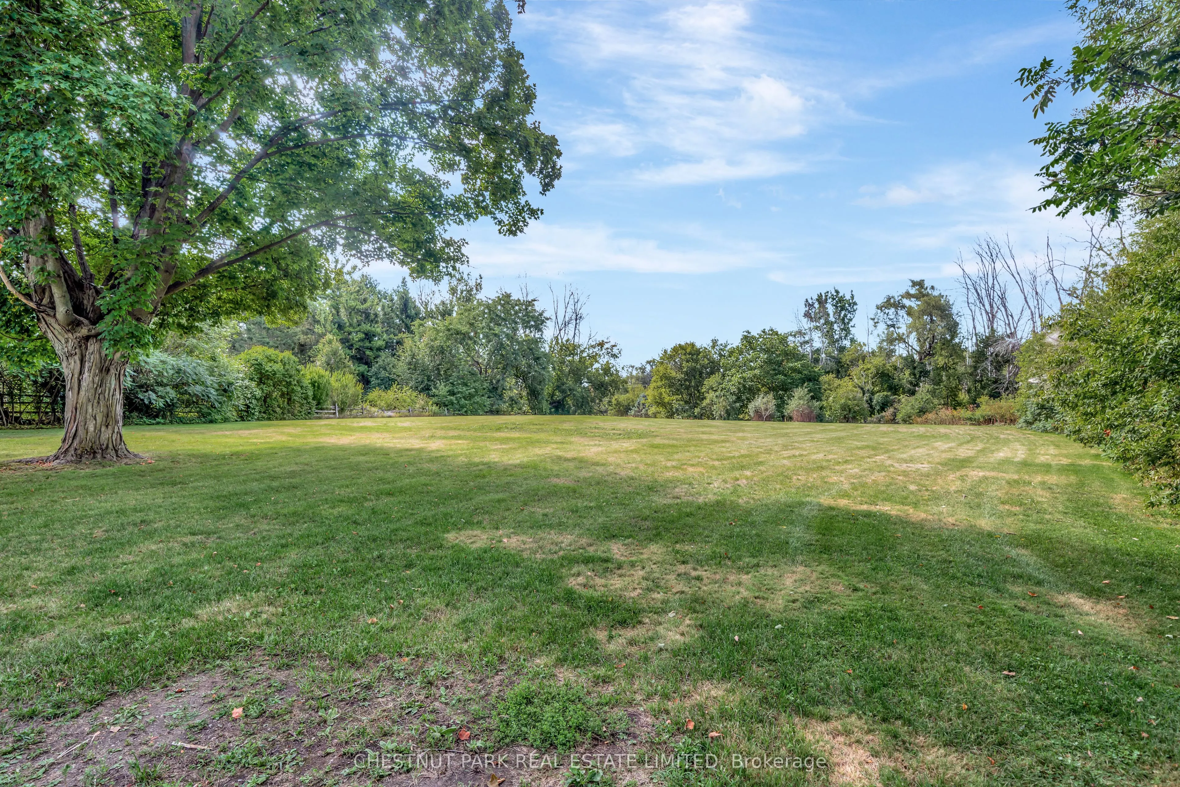 385 Bloomfield Main Street