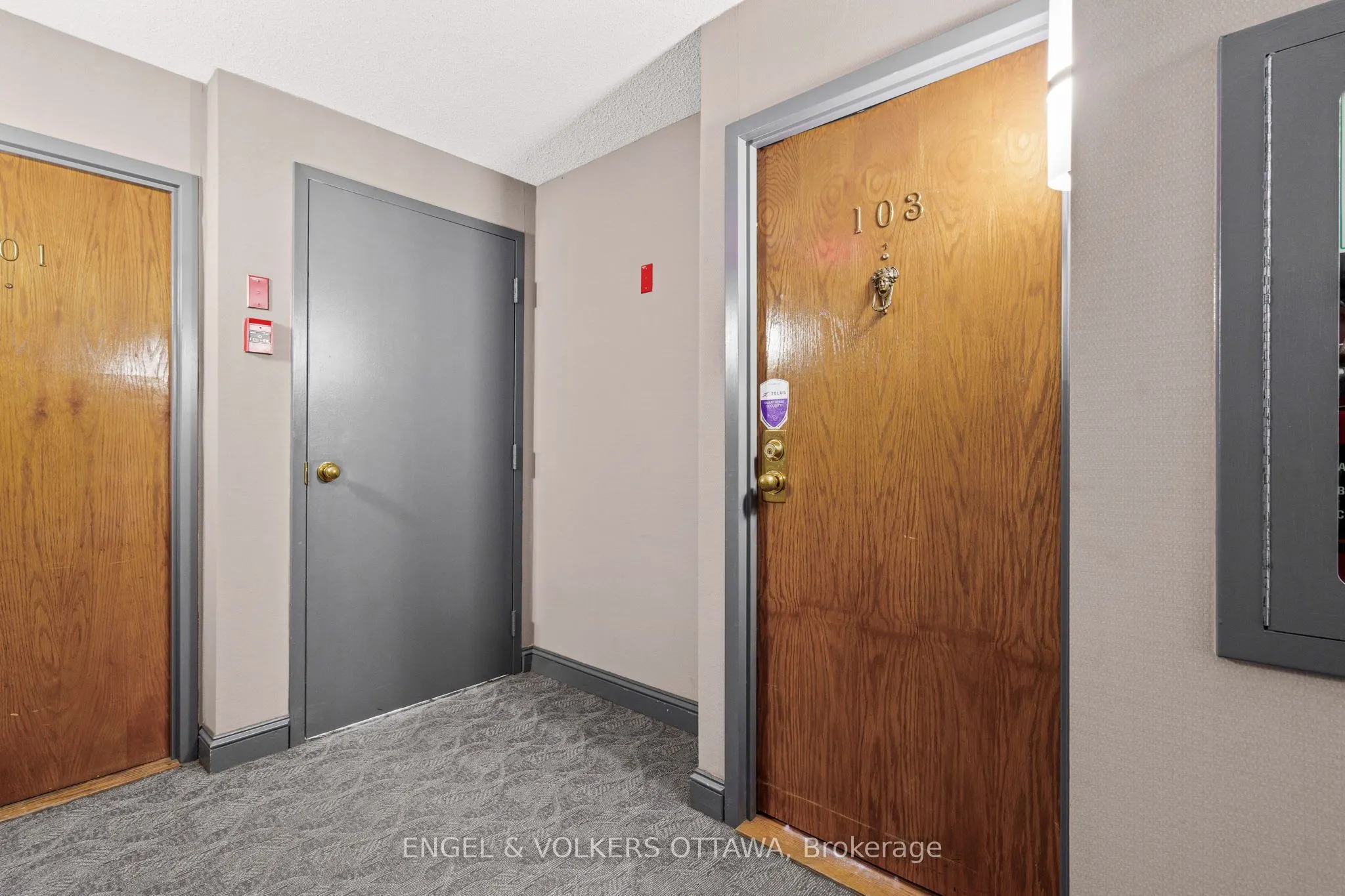 295 Gilmour Street, #103